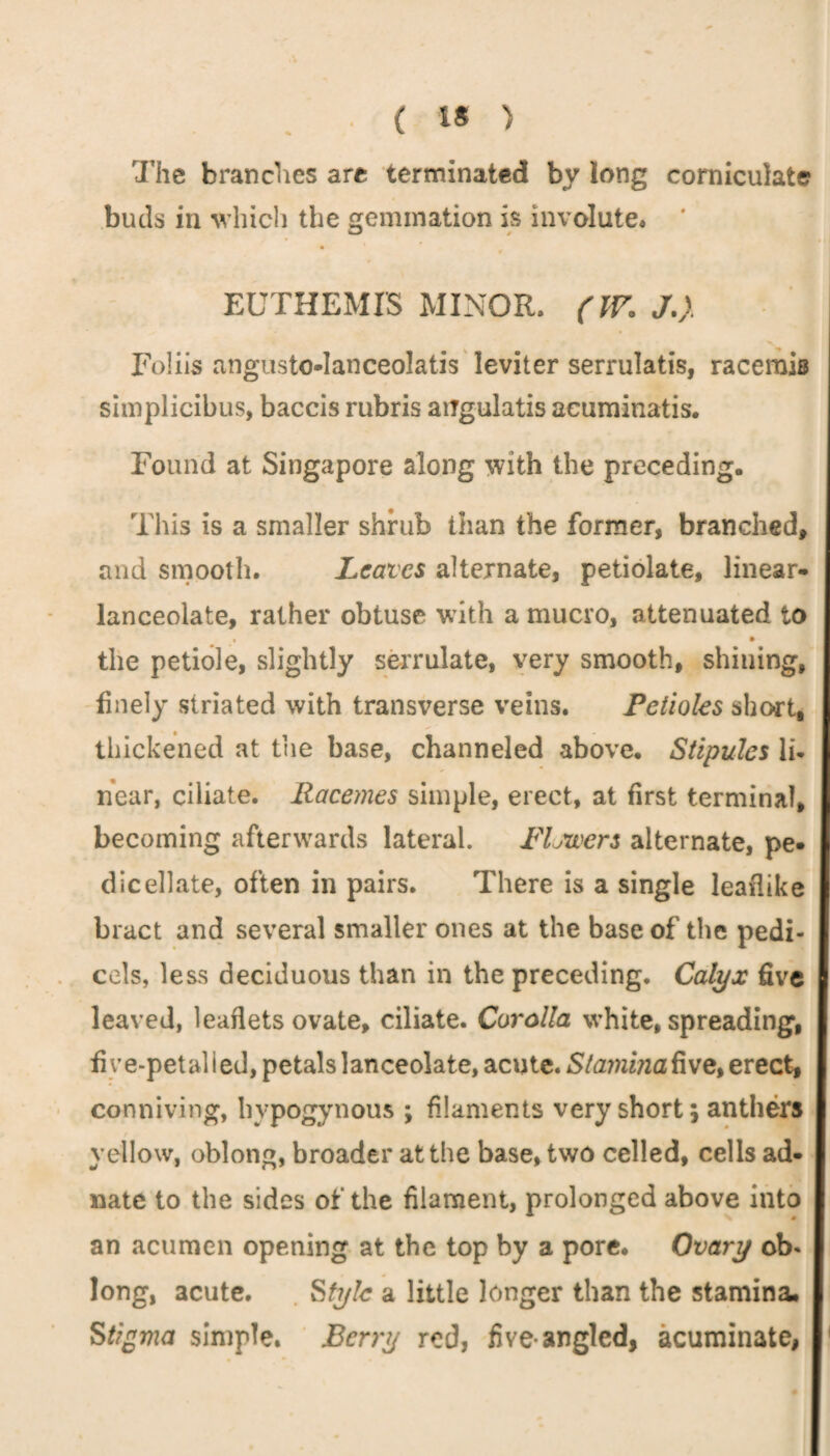 ( i* > The branches are: terminated by long comiculate buds in which the gemination is involute* . . ; EUTHEMIS MINOR. (IV. J.) Foliis angustc-Ianceolatis leviter serrulatis, racemis simplicibus, baccis rubris aiTgulatis acuminatis. Found at Singapore along with the preceding. This is a smaller shrub than the former, branched, and smooth. Leaves alternate, petiolate, linear- lanceolate, rather obtuse with a mucro, attenuated to the petiole, slightly serrulate, very smooth, shining, finely striated with transverse veins. Petioles short, ; thickened at the base, channeled above. Stipules li- near, ciliate. Racemes simple, erect, at first terminal, becoming afterwards lateral. Fljwers alternate, pe- I dicellate, often in pairs. There is a single leaflike bract and several smaller ones at the base of the pedi- I cels, less deciduous than in the preceding. Calyx five jl leaved, leaflets ovate, ciliate. Corolla white, spreading, I five-petal led, petals lanceolate, acute. Sta?ni?iaf\ve% erect, conniving, hypogynous ; filaments very short; anthers I yellow, oblong, broader at the base, two celled, cells ad- I nate to the sides of the filament, prolonged above into I an acumen opening at the top by a pore. Ovary ob¬ long, acute. Style a little longer than the stamina. I Stigma simple. Berry red, five-angled, acuminate, I
