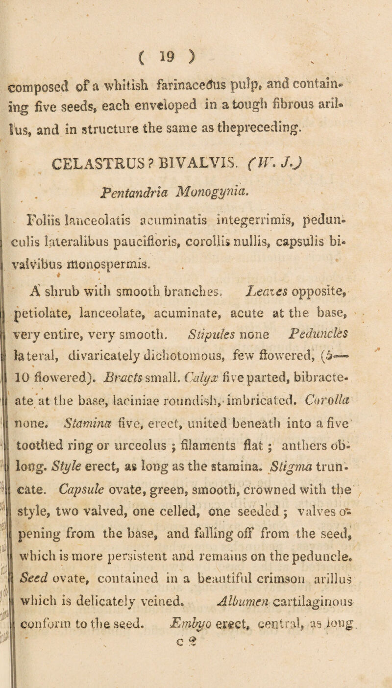 composed of a whitish farinacedtus pulp, and contain¬ ing five seeds, each enveloped in a tough fibrous aril- lus, and in structure the same as thepreceding. CELASTRUS ? BIVALVIS. (TV. J.J Pentandria Monogynia. Foliis lanceolatis acuminatis integerrimis, pedum culis laleralibus paucifloris, corollis nullis, capsulis bi* valshbus monospermis. ^4 A shrub with smooth branches, Leazes opposite, petiolate, lanceolate, acuminate, acute at the base* very entire, very smooth. Stipules none Peduncles lateral, divaricately dichotomous, few flowered) • 10 dowered). Bracts small. Calyx five parted, bibracte- ate at the base, laciniae roundish,’imbricated. Corolla none. Stamina five, erect, united beneath into a five toothed ring or urceolus ; filaments flat ; anthers ob¬ long. Style erect, as long as the stamina. Stigma trun¬ cate. Capsule ovate, green, smooth, crowned with the style, two valved, one celled, one seeded ; valves o- pening from the base, and falling off from the seed, which is more persistent and remains on the peduncle. Seed ovate, contained in a beautiful crimson arillus which is delicately veined. Albumen cartilaginous j conform to the seed. Embyo erect, central, as long