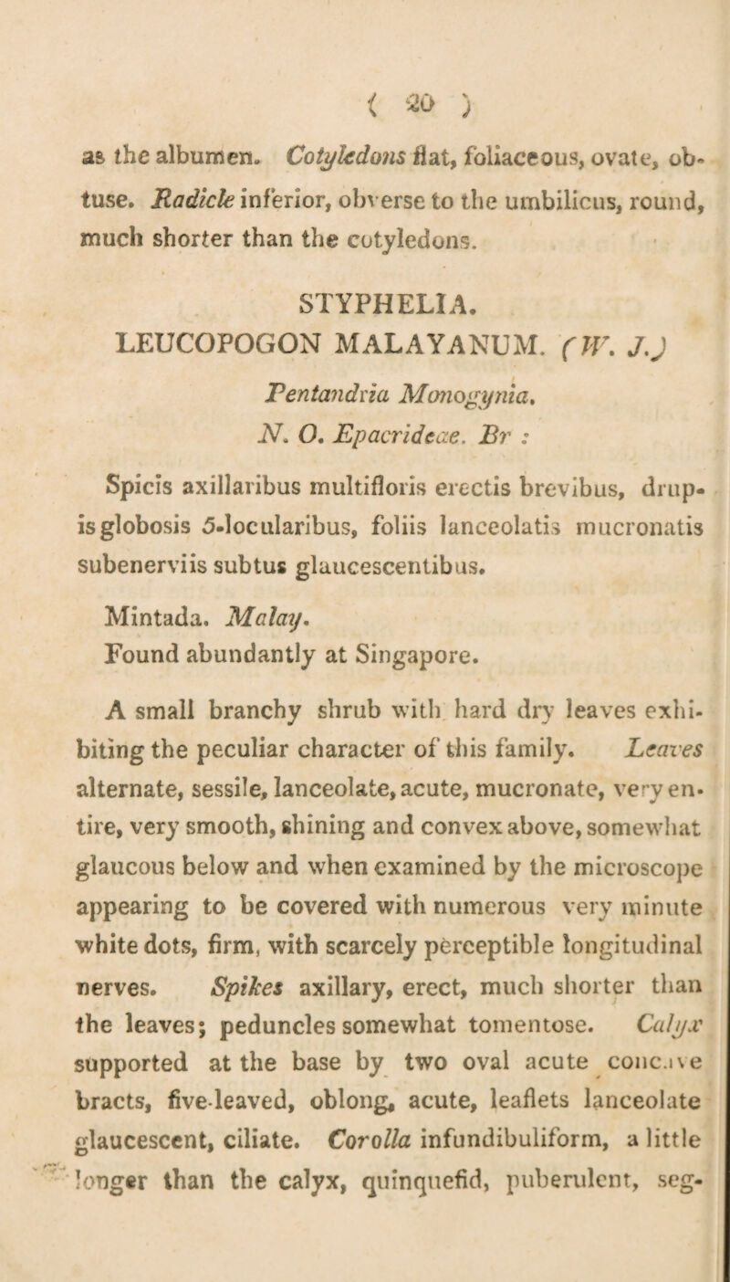 as the albumen- Cotyledons flat, fbliaceous, ovate, ob* tuse. Radicle inferior, obverse to the umbilicus, round, much shorter than the cotyledons. STYPHELIA. LEUCOPOGON MALAYANUM. (W. JJ Ventandua Monogynia. N. O. Ep acrideae. Br : Spicis axillaribus multifloris erectis brevibus, drup- isglobosis 5-locularibus, foliis laneeolatis mucronatis subenerviis subtus glaucescentibus. Mintada. Malay. Found abundantly at Singapore. A small branchy shrub with hard dry leaves exhi¬ biting the peculiar character of this family. Leaves alternate, sessile, lanceolate,acute, mucronate, ve yen- tire, very smooth, shining and convex above, somewhat glaucous below and when examined by the microscope appearing to be covered with numerous very minute white dots, firm, with scarcely perceptible longitudinal nerves. Spikes axillary, erect, much shorter than the leaves; peduncles somewhat tomentose. Calyx supported at the base by two oval acute coiic.ive bracts, five-leaved, oblong, acute, leaflets lanceolate elaucescent, ciliate. Corolla infundibuliform, a little O 9 longer than the calyx, quinquefid, puberulent, seg-