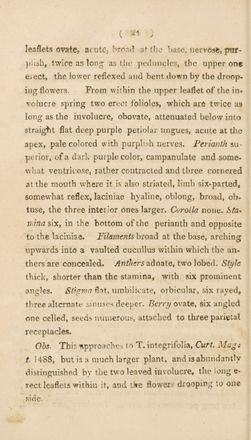 leaflets ovate, acute, broad at the base, tiervosfe, pur¬ plish, twice as long* as tiie peduncles, the upper one eiect, the lower reflexed and bent down by the droop* ing flowers. From within the upper leaflet of the in¬ volucre spring two erect folioles, which are twice a9 long as the involucre, obovate, attenuated below into straight flat deep purple petioiar ungues, acute at the apex, pale colored with purplish nerves. Perianth su¬ perior, of a dark purple color, campanulate and some* what ventricose, rather contracted and three cornered at the mouth where it is also striated, limb six-parted, somewhat reflex, laciniae hyaline, oblong, broad, ob* tuse, the three interior tines larger. Corolla none. Sta¬ mina six, in the bottom of the perianth and opposite to the laciniae. Filaments broad at the base, arching upwards into a vaulted cucullus within which the an¬ thers are concealed. Anthers adnate, two lobed. Style thick, shorter than the stamina, with six prominent angles. Stigma flat, umbilicate, orbicular, six raved, three alternate sinuses deeper. Berry ovate, six angled one celled, seeds numerous, attached to three parietal receptacles. Ohs. This approaches to T. integrifolia, Cutt. Mags t 1488, but is a much larger plant, and is abundantly distinguished by the two leaved involucre, the long e- rect leaflets within it, and tire flowers drooping to one side.