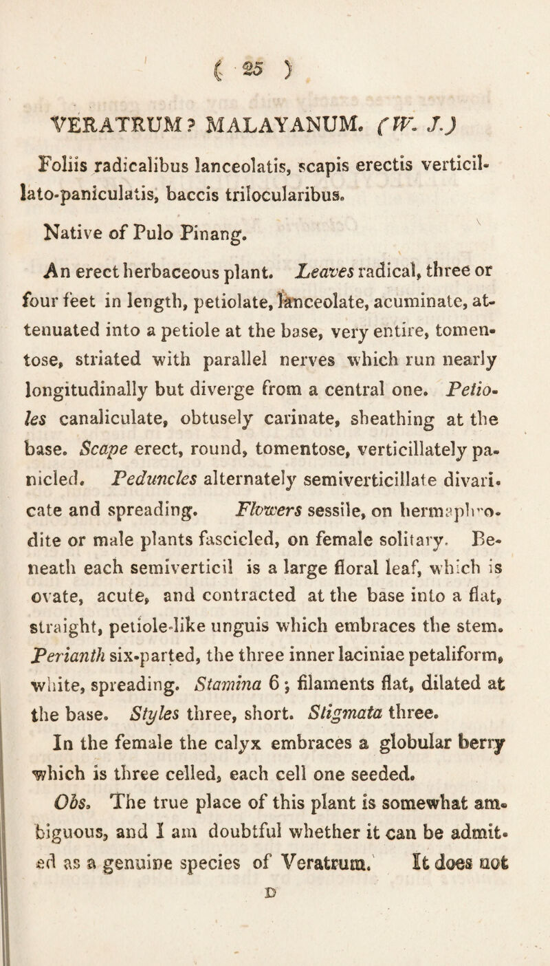 VERATRUM ? MALAYANUM. (W. J.) Folds radicalibus lanceolatis, scapis erectis verticil* lato-paniculatis, baccis trilocularibus. A i Native of Pulo Pinang. An erect herbaceous plant. Leaves radical* three or four feet in length, petiolate, lanceolate, acuminate, at¬ tenuated into a petiole at the base, very entire, fcomen- lose, striated with parallel nerves which run nearly longitudinally but diverge from a central one. Petio¬ les canaliculate, obtusely carinate, sheathing at the base. Scape erect, round, tomentose, verticillately pa- nicled. Peduncles alternately semiverticillate divari¬ cate and spreading. Pltmers sessile, on henn^plro. dite or male plants fascicled, on female solitary. Be¬ neath each semiverticil is a large floral leaf, which is ovate, acute, and contracted at the base into a flat, straight, petioledike unguis which embraces the stem. Perianth six-parted, the three inner laciniae petaliform, white, spreading. Stamina 6 \ filaments flat, dilated at the base. Styles three, short. Stigmata three. In the female the calyx embraces a globular berry ^yhich is three celled, each cell one seeded. Ohs, The true place of this plant is somewhat am* biguous, and 1 am doubtful whether it can be admit, ed as a genuine species of Veratrum. It does not 3D