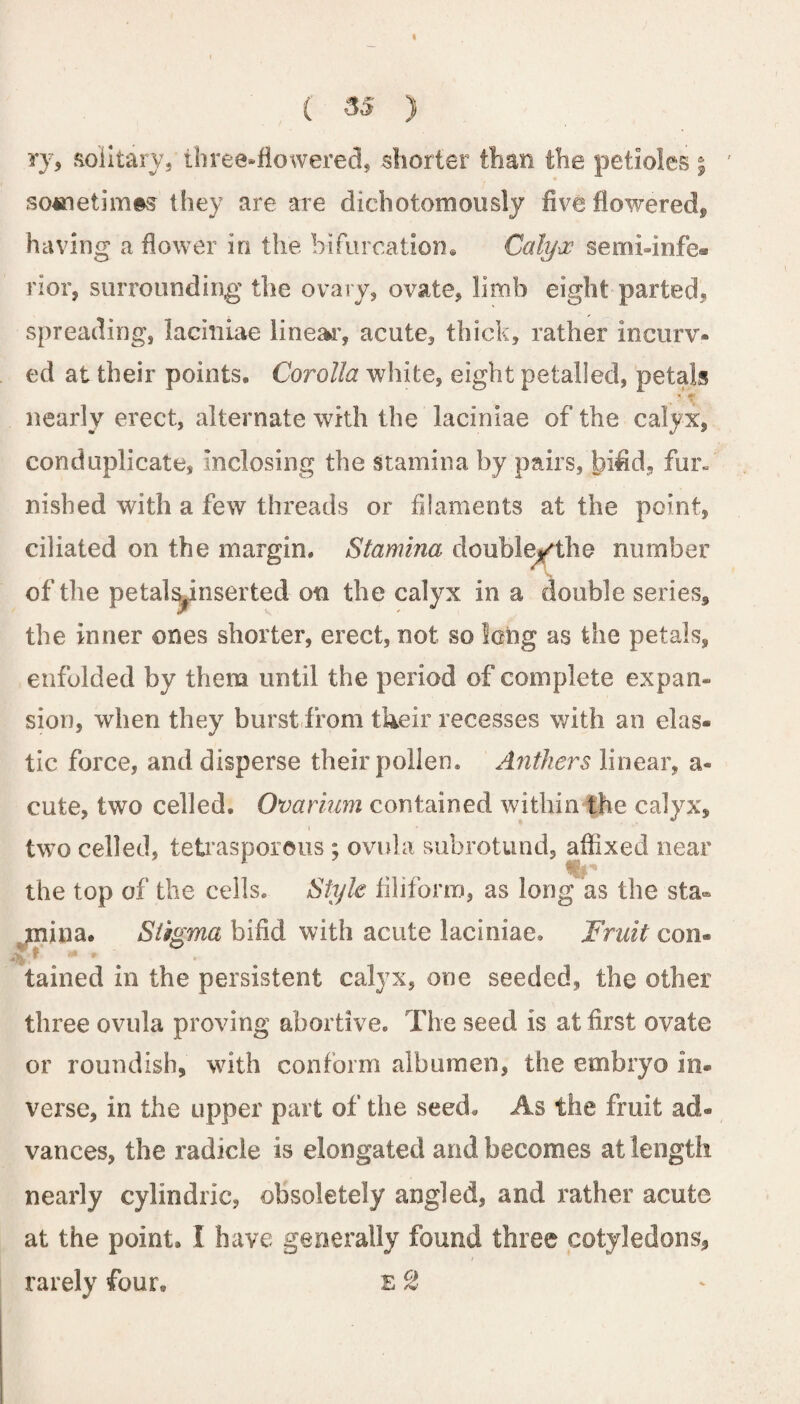 ry, solitary, three-flowered, shorter than the petioles % sometimes they are are dichotomously five flowered, having a flower in the bifurcation* Calyx semi-infe¬ rior, surrounding the ovary, ovate, limb eight parted, spreading, laeiniae linear, acute, thick, rather incurv- ed at their points. Corolla white, eight petalled, petals nearly erect, alternate with the laeiniae of the calyx, conduplicate, inclosing the stamina by pairs, bifid, fur. nisbed with a few threads or filaments at the point, ciliated on the margin. Stamina double/the number of the petalynserted on the calyx in a double series, the inner ones shorter, erect, not so long as the petals, enfolded by them until the period of complete expan¬ sion, when they burst from their recesses with an elas¬ tic force, and disperse their pollen. Anthers linear, a- cute, two celled. Ovarium contained within the calyx, two celled, tetrasporous ; ovula subrotund, affixed near the top of the cells. Style filiform, as long as the sta¬ mina. Stigma bifid with acute laeiniae. Fruit con® tained in the persistent calyx, one seeded, the other three ovula proving abortive. The seed is at first ovate or roundish, with conform albumen, the embryo in¬ verse, in the upper part of the seed. As the fruit ad¬ vances, the radicle is elongated and becomes at length nearly cylindric, obsoletely angled, and rather acute at the point. I have generally found three cotyledons, rarely four. £ %