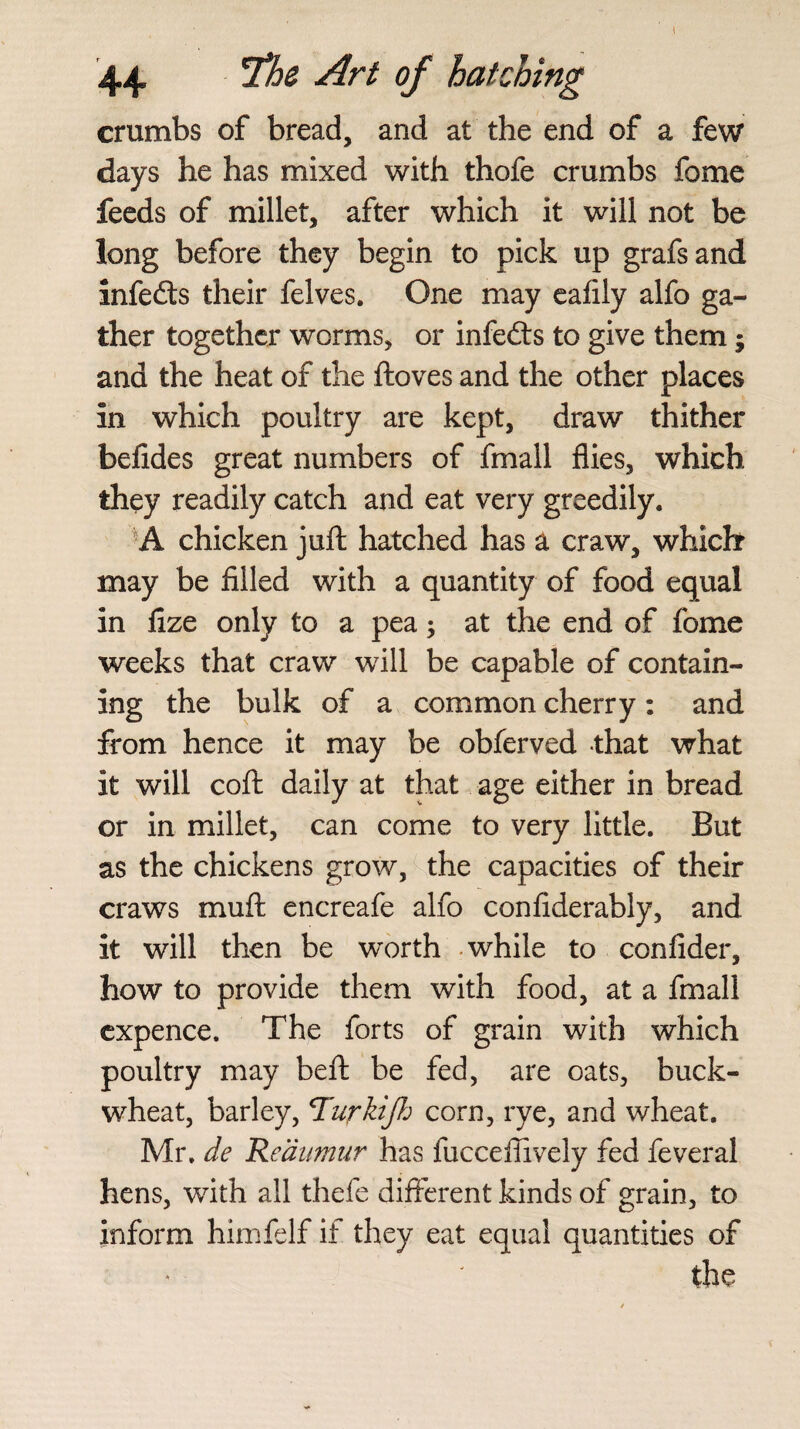 crumbs of bread, and at the end of a few days he has mixed with thofe crumbs fome feeds of millet, after which it will not be long before they begin to pick up grafsand infedts their felves. One may eafily alfo ga¬ ther together worms, or infedts to give them; and the heat of the ftoves and the other places in which poultry are kept, draw thither befides great numbers of fmall flies, which they readily catch and eat very greedily. A chicken juft hatched has a craw, which may be filled with a quantity of food equal in fize only to a pea; at the end of fome weeks that craw will be capable of contain¬ ing the bulk of a common cherry : and from hence it may be obferved that what it will coft daily at that age either in bread or in millet, can come to very little. But as the chickens grow, the capacities of their craws muft encreafe alfo conflderably, and it will then be worth while to confider, how to provide them with food, at a fmall expence. The forts of grain with which poultry may beft be fed, are oats, buck¬ wheat, barley, Turkifh corn, rye, and wheat. Mr. de Reaumur has fucceflively fed feveral hens, with all thefe different kinds of grain, to inform himfelf if they eat equal quantities of the