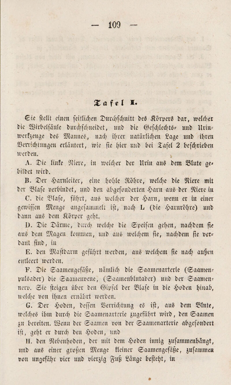 X a f e I I. €te ftciit einen feitlichen Durchfdjnitt beS Ä'orperS bar, welcher bie SBirbeifäuIc burchfcbneibet, nitb bic ©efdfiechtS' nnb Urin* werf^euge beS SDRanneS, nad) ihrer natürlichen Sage nnb ihren Verrichtungen erläutert, wie fic hier nnb bei Dafel 2 betrieben werben. A. Die linfe 9iierc, in welcher ber Urin aus bent Vinte ge* bilbet wirb. B. Der Harnleiter, eine holde dlöbre, welche bie Spiere mit ber Vlafe nerbinbet, itnb ben abgefonberten Hant aitS ber 9Uere in C. bie Vlafe, führt, aus welcher ber Harn, wenn er in einer gemiffen SUleitge augefammelt ift, nach L (bie Harnröhre) nnb bann au§ beut Körper geht. D. Die Därme, burch welche bie ©peifen gehen, naebbem fte aus bem fragen fontmeit, nnb aitS weichem fte, naebbem fte ner* baut ftnb, in E. ben Vtaffbarin geführt werben, auS weichem fte nach anfen entleert werben. F. Die ©aameitgefäfje, nämlich bie ©aamenarterie (©aamen* pulSaber) bie ©aantenoene, (©aamenbiutaber) nnb ber ©aamen* nern. Sie fteigen über ben ©ipfet ber Vlafe in bie Hoben hinab, weid;e non ihnen ernährt werben. G. Der Hoben, beffen Verrichtung eS ift, aus bem Vinte, welches ihm burch bie ©aamenarterie angeführt wirb, ben ©aamen ju bereiten. SBemt ber ©aamen non ber ©aamenarterie abgefonbert ift, geht er burdj ben Hoben, nnb H. ben diebenhobeu, ber mit bem Hoben innig jufammenhängt, nnb auS einer grofjen Vtenge Heiner ©aamengefäjje, jufammen non ungefähr nier nnb nierjig Sänge befiehl, in *