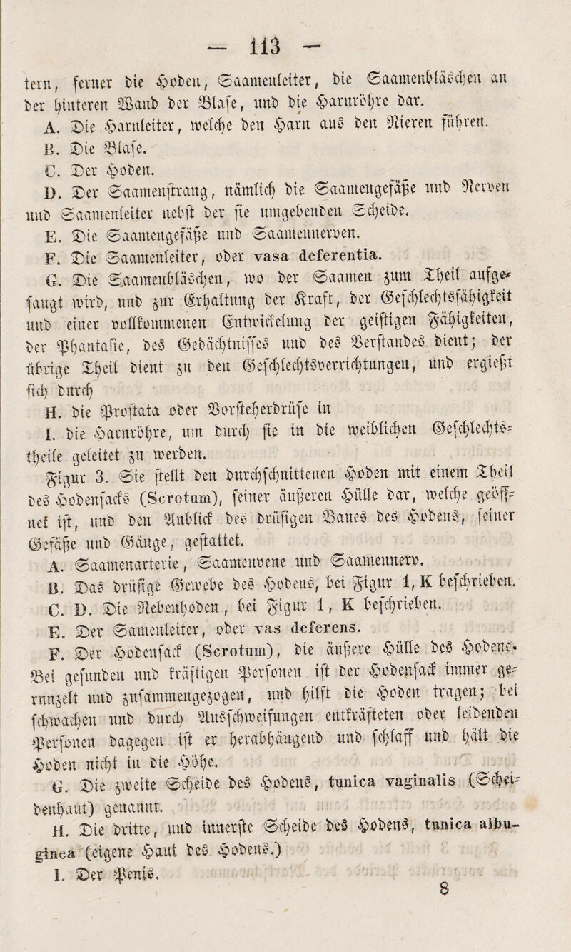 temf ferner tue Hoben, Saameuleiter, bie Saamenbtäöcheu an ber Hinteren SBanb ber SSlafe, unb bie Harnröhre bar. A. Die Harnleiter, welche ben Harn aus ben Vieren führen. B. Die 23lafe. C. Der Hoben. D. Der 0aamenftrang, nämlich bie Saamengefäfe unb Herren uub Saameuleiter ncbft ber fte umgebenben 0djeibe. E. Die Saamengefäüe unb Saamemteroen. F. Die 0aamenleiter, ober vasa deferentia. G. Die Saamcubläödjen, wo ber 0aamen §um Dl)eil aufge* fangt wirb, unb pr (Erhaltung ber traft, ber ©efd)led)tSKibigteit mib einer ooHfommeuen ©ntwidelung ber geiftigen g-ä^igfeiten, ber ^antafte, beS ©ebächtniffeS unb beS ißerftanbcS bient5 ber übrige Dbeil bient 511 ben ©cfdjiedjtcwerricftungen, unb ergieft fiel) bnrd) H. bie iproftata ober 23orfiel)erbrüfe in I. bie Harnröhre, um bnrd) fie in bie weiblichen ©efchlecbtS- tl)eile geleitet 511 werben. 5'igur 3. 0ie (teilt ben bureffebnitteuen Hoben mit einem Dbeil OeS Hoben facto (Scrotum), feiner änderen Hülle bar, welche geöff¬ net ift, unb ben rinblict beS briifigen DaucS beS HobenS, feiner ©efäfe unb ©äuge, gestattet. A. Saamenarterie, 0aamenoene unb 0aamemtero. B. Das brüftge ©ewebe beS HobenS, bei ftigur 1, K betrieben. C. B. Die 9iebeuboben, bei $igur 1, K befebrieben. E. Der 0anienleiter, ober vas deferens. F. Der Hoben fact (Scrotum), bie äußere Hülle beS Hobene* S3ei gefnnben unb triftigen iferfonen ift ber Hobenfacf immer ge-' rnnjelt unb jufammenge&ogen, unb Hilft bie Hoben tragen; bei febwachen unb bnrd) SluSfchwcifungen entfräfteten^ ober leibeuben sperfoneu bagegeu ft er herabhängeub uub fd)laff unb hält bie Hoben nict)t in bie Höhe. . G. Die jweite Scheibe beS HobenS, tunica vaginalis (Sehet' benhaut) genannt. H. Die britte, unb innerfte Scheibe beS HobenS, tunica albu¬ ginea (eigene Haut beS HobenS.) I. Der tfteniS. 8