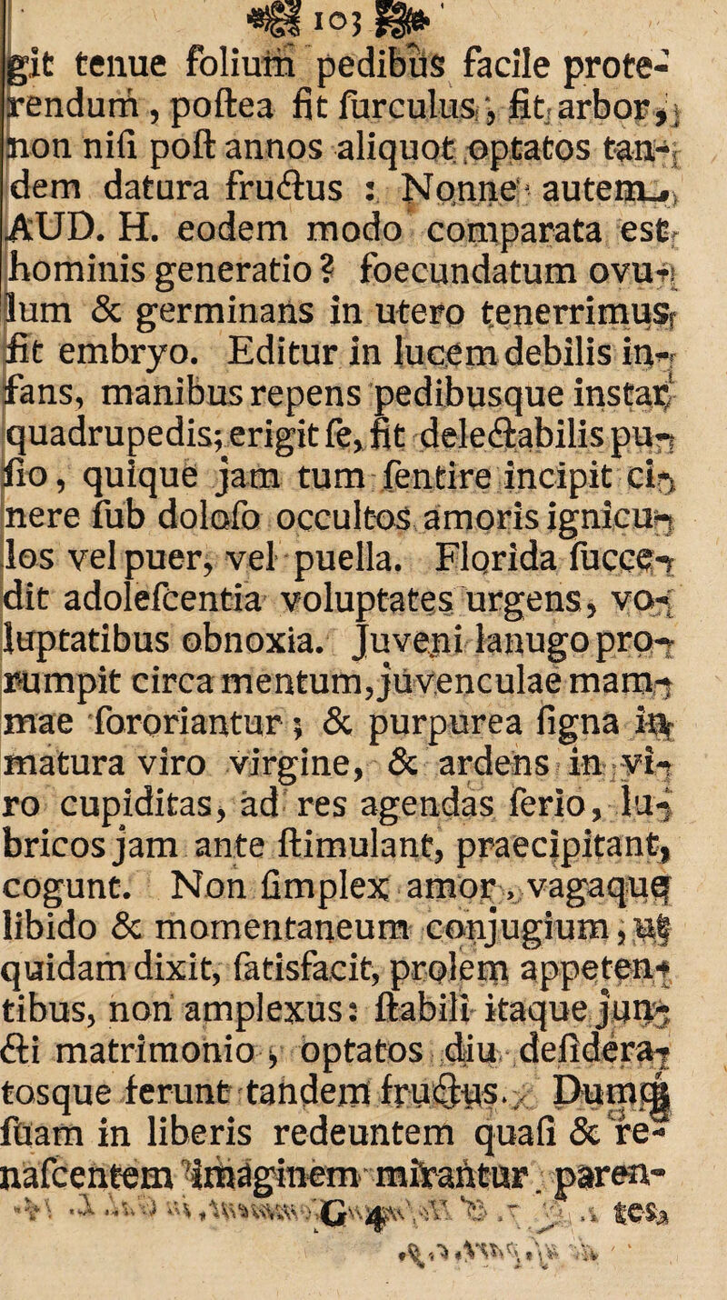 it tenue folium pedibus facile prote¬ rendum , poftea fit fureulus , fit arbor,, non nili poft annos aliquot .optatos tan¬ dem datura frudlus : Nonne autem... AUD. H. eodem modo comparata estr hominis generatio ? foecundatum ovu* lum & germinans in utero tenerrimust fit embryo. Editur in lucem debilis in¬ fans, manibus repens pedibusque instar, quadrupedis;erigit fe, fit delectabilis pur? fio, quique jam tum fentire incipit ci5 nere fub dolofo occultos amoris ignicun los vel puer, vel puella. Florida iucce-? dit adolefcentia voluptates urgens, vo-r luptatibus obnoxia. Juveni lanugo pro-- rumpit circa mentum, juvenculae mam¬ mae fororiantur 5 & purpurea ligna itv matura viro virgine, & ardens in yi-} ro cupiditas, ad res agendas ferio, lu¬ bricos jam ante ftimulanf, praecipitant, cogunt. Non fimplex amor, vagaquq libido & momentaneum conjugium, nf quidam dixit, fatisfacit, prolem appeten¬ tibus, non amplexus: Habili itaque jurt- Cti matrimonio , optatos diu defidera^ tosque ferunt tandemi fru^ns./ Dum<^ filam in liberis redeuntem quali & fe- nafeentem imaginem mirantur, paren