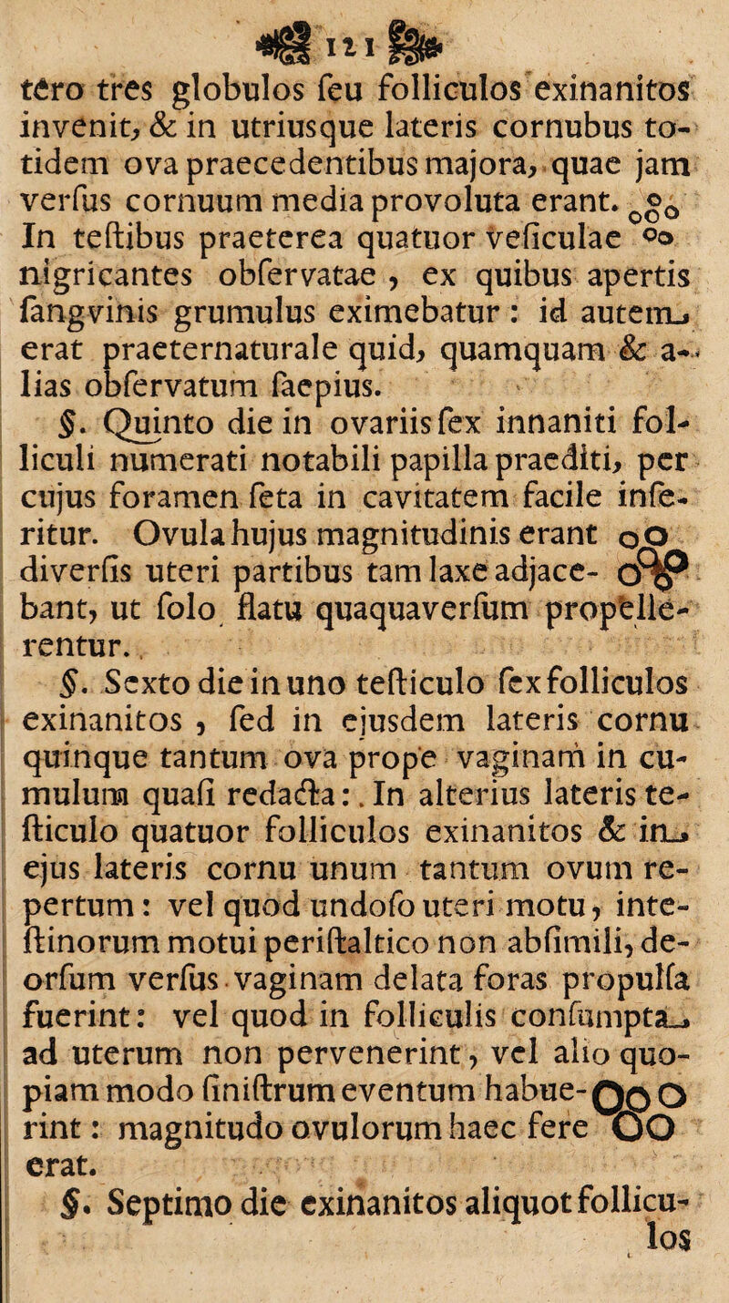 t£ro tres globulos feu folliculos exinanitos invenit, & in utriusque lateris cornubus to¬ tidem ova praecedentibus majora, quae jam verfus cornuum media provoluta erant. o©0 In teftibus praeterea quatuor veficulae nigricantes obfervatae , ex quibus apertis langvihis grumulus eximebatur : id autenu erat praeternaturale quid, quamquam & a-* lias obfervatum faepius. §. Quinto die in ovariis fex innaniti fol¬ liculi numerati notabili papilla praediti, per cujus foramen feta in cavitatem facile infe- ritur. Ovula hujus magnitudinis erant oO diverfis uteri partibus tam laxe adjace- bant, ut folo flatu quaquaverfum propHle- rentur.. Sexto die in uno tefticulo fex folliculos exinanitos , fed in ejusdem lateris cornu quinque tantum ova prope vaginam in cu¬ mulum quafi redadla:. In alterius lateris te¬ fticulo quatuor folliculos exinanitos & iru ejus lateris cornu unum tantum ovum re¬ pertum : vel quod undofouteri motu* inte- ftinorum motui periftaltico non abfimili, de- orfum verfus vaginam delata foras propulfa fuerint: vel quod in folliculis confumpta_. ad uterum non pervenerint, vel alio quo¬ piam modo finiftrum eventum habue-Q^o rint: magnitudo ovulorum haec fere OO erat. §• Septimo die exinanitos aliquot follicu¬ los * i