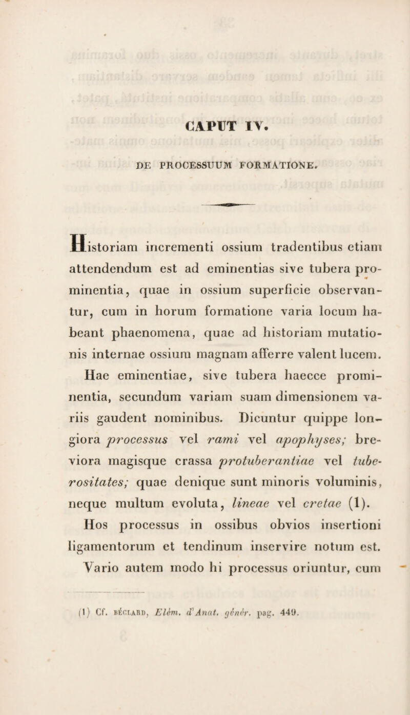 DE PROCESSUUM FORMATIONE. Historiam increraenti ossium tradentibus etiam attendendum est ad eminentias sive tubera pro- minentia, quae in ossium superficie observan- tur, cura in horum formatione varia locuin ba- beant phaenomena, quae ad historiam mutatio- nis internae ossium magnam afferre valentlucem. Hae emineritiae, sive tubera liaecce promi- nentia, secundum variam suam dimensionem va- riis gaudent nominibus. Dicuntur quippe lon- giora pi'ocessus vel rami vel apophyses; bre- viora magisque crassa protuberantiae vel tube- rositates; quae denique sunt minoris voluminis, neque multum evoluta, lineae vel cretae (!)• Hos processus in ossibus obvios insertioni ligamentorum et tendinum inservire notum est. Vario autem inodo hi processus oriuntur, cum |1) Cf. BÉr.i.ARD, Elèvi. d Anat. gènèr. pag. 44U.