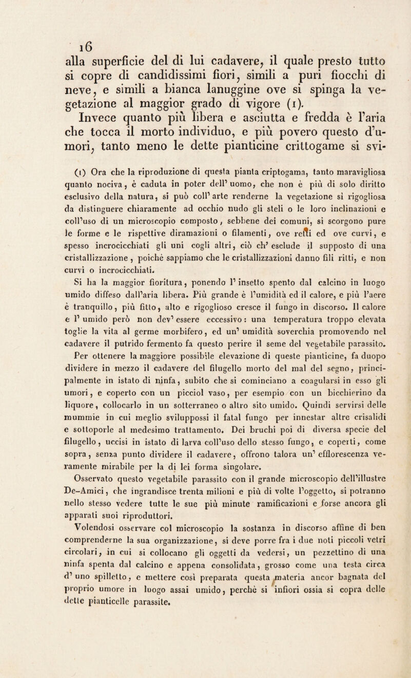 alla superficie del di lui cadavere, il quale presto tutto si copre di candidissimi fiori, simili a puri fiocchi di neve, e simili a bianca lanuggine ove si spinga la ve¬ getazione al maggior grado di vigore (i). Invece quanto più libera e asciutta e fredda è l’aria che tocca il morto individuo, e più povero questo d’u¬ mori, tanto meno le dette pianticine crittogame si svi- Q) Ora che la riproduzione di questa pianta criptogama, tanto maravigliosa quanto nociva, è caduta in poter dell’uomo, che non è più di solo diritto esclusivo della natura, si può coll’arte renderne la vegetazione si rigogliosa da distinguere chiaramente ad occhio nudo gli steli o le loro inclinazioni e coll’uso di un microscopio composto, sebbene dei comuni, si scorgono pure le forme e le rispettive diramazioni o filamenti, ove retti ed ove curvi, e spesso incrocicchiati gli uni cogli altri, ciò ch’esclude il supposto di una cristallizzazione , poiché sappiamo che le cristallizzazioni danno fili ritti, e non curvi o incrocicchiati. Si ha la maggior fioritura, ponendo l’insetto spento dal calcino in luogo umido diffeso dall’aria libera. Più grande è l’umidità ed il calore, e più l’aere è tranquillo, più fitto, alto e rigoglioso cresce il fungo in discorso. Il calore e 1’ umido però non dev’ essere eccessivo : una temperatura troppo elevata toglie la vita al germe morbifero, ed un’ umidità soverchia promovendo nel cadavere il putrido fermento fa questo perire il seme del vegetabile parassito. Per ottenere la maggiore possibile elevazione di queste pianticine, fa duopo dividere in mezzo il cadavere del filugello morto del mal del segno, princi¬ palmente in istato di ninfa, subito che si cominciano a coagularsi in esso gli umori, e coperto con un picciol vaso, per esempio con un bicchierino da liquore, collocarlo in un sotterraneo o altro sito umido. Quindi servirsi delle mummie in cui meglio sviluppossi il fatai fungo per innestar altre crisalidi e sottoporle al medesimo trattamento. Dei bruchi poi di diversa specie del filugello, uccisi in istato di larva coll’uso dello stesso fungo, e coperti, come sopra, senza punto dividere il cadavere, offrono talora un’efflorescenza ve¬ ramente mirabile per la di lei forma singolare. Osservato questo vegetabile parassito con il grande microscopio dell’illustre De-Amici, che ingrandisce trenta milioni e più di volte l’oggetto, si potranno nello stesso vedere tutte le sue più minute ramificazioni e forse ancora gli apparati suoi riproduttori. Volendosi osservare col microscopio la sostanza in discorso affine di ben comprenderne la sua organizzazione, si deve porre fra i due noti piccoli vetri circolari, in cui si collocano gli oggetti da vedersi, un pezzettino di una ninfa spenta dal calcino e appena consolidata, grosso come una testa circa d’uno spillelto, e mettere cosi preparata questa materia ancor bagnata del proprio umore in luogo assai umido, perchè si infiori ossia si copra delle dette pianticelle parassite.