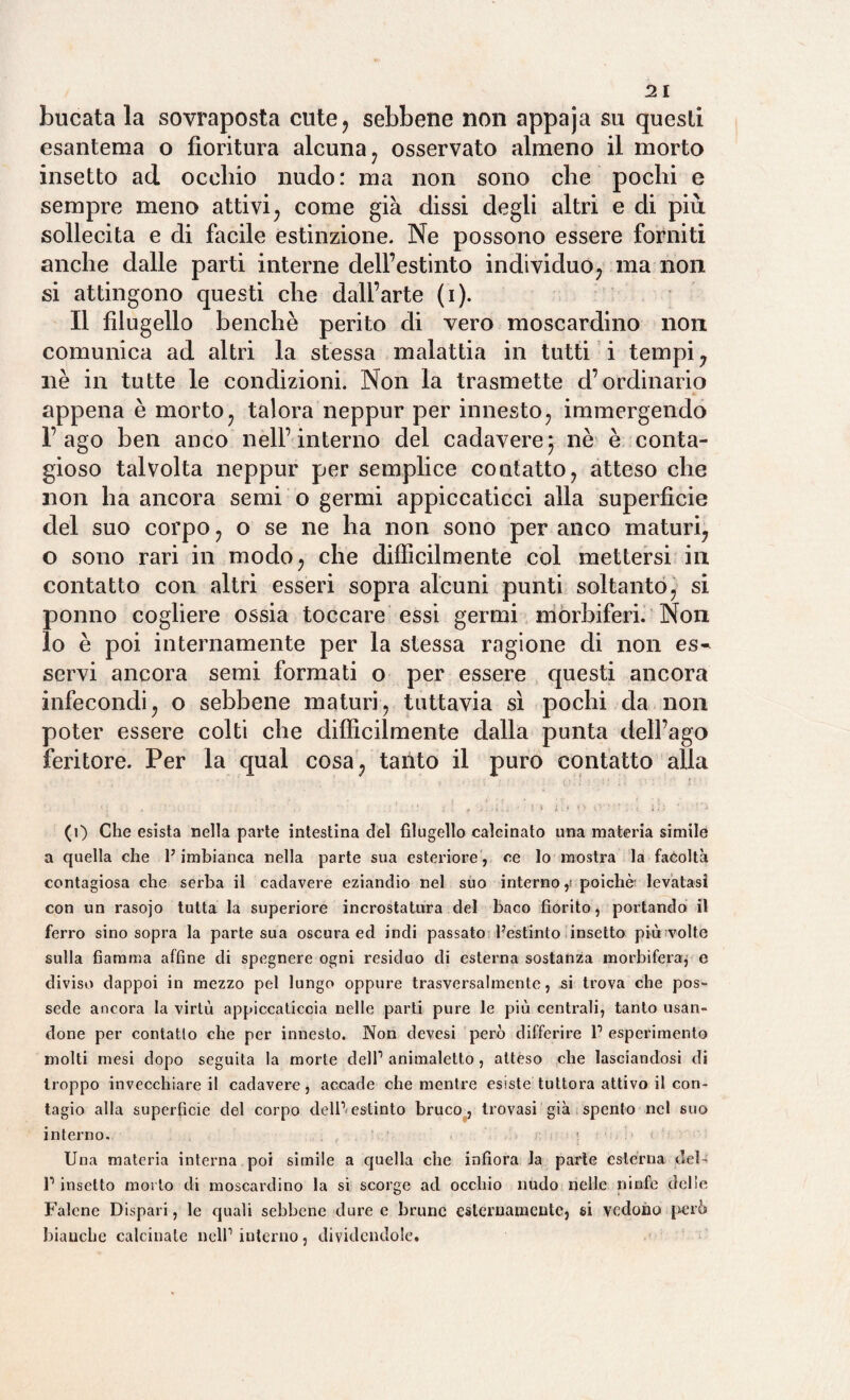 2 I bucata la sovraposta cute, sebbene non appaja su questi esantema o fioritura alcuna, osservato almeno il morto insetto ad occhio nudo: ma non sono che pochi e sempre meno attivi, come già dissi degli altri e di più sollecita e di facile estinzione. Ne possono essere forniti anche dalle parti interne dell’estinto individuo; ma non si attingono questi che dall’arte (i). Il filugello benché perito di vero moscardino non comunica ad altri la stessa malattia in tutti i tempi; nè in tutte le condizioni. Non la trasmette d’ordinario appena è morto? talora neppur per innesto; immergendo l’ago ben anco nell’interno del cadavere; nè è conta¬ gioso talvolta neppur per semplice contatto; atteso che non ha ancora semi o germi appiccaticci alla superficie del suo corpo ? o se ne ha non sono per anco maturi; o sono rari in modo; che difficilmente col mettersi in contatto con altri esseri sopra alcuni punti soltanto; si ponno cogliere ossia toccare essi germi morbiferi. Non lo è poi internamente per la stessa ragione di non es¬ servi ancora semi formati o per essere questi ancora infecondi; o sebbene maturi; tuttavia sì pochi da non poter essere colti che diffìcilmente dalla punta dell’ago feritore. Per la qual cosa, tanto il puro contatto alla (1) Che esista nella parte intestina del filugello calcinato una materia simile a quella che P imbianca nella parte sua esteriore, ce lo mostra la facoltà contagiosa che serba il cadavere eziandio nel suo interno ,i poiché levatasi con un rasojo tutta la superiore incrostatura del baco fiorito, portando il ferro sino sopra la parte sua oscura ed indi passato Pestinto insetto più volte sulla fiamma affine di spegnere ogni residuo di esterna sostanza morbifera, e diviso dappoi in mezzo pel lungo oppure trasversalmente, si trova che pos¬ sedè ancora la virtù appiccaticela nelle parti pure le più centrali, tanto usan¬ done per contatto che per innesto. Non devesi però differire P esperimento molti mesi dopo seguita la morte dell1 animaletto, atteso che lasciandosi di troppo invecchiare il cadavere, accade che mentre esiste tuttora attivo il con¬ tagio alla superfìcie del corpo dell1 estinto bruco, trovasi già spento nel 6iio interno. : • < Una materia interna poi simile a quella che infiora la parìe esterna del- l1 insetto motto di moscardino la si scorge ad occhio nudo nelle ninfe delie Falene Dispari, le quali sebbene dure e brune esternamente, si vedono però bianche calcinale nell1 interno, dividendole.