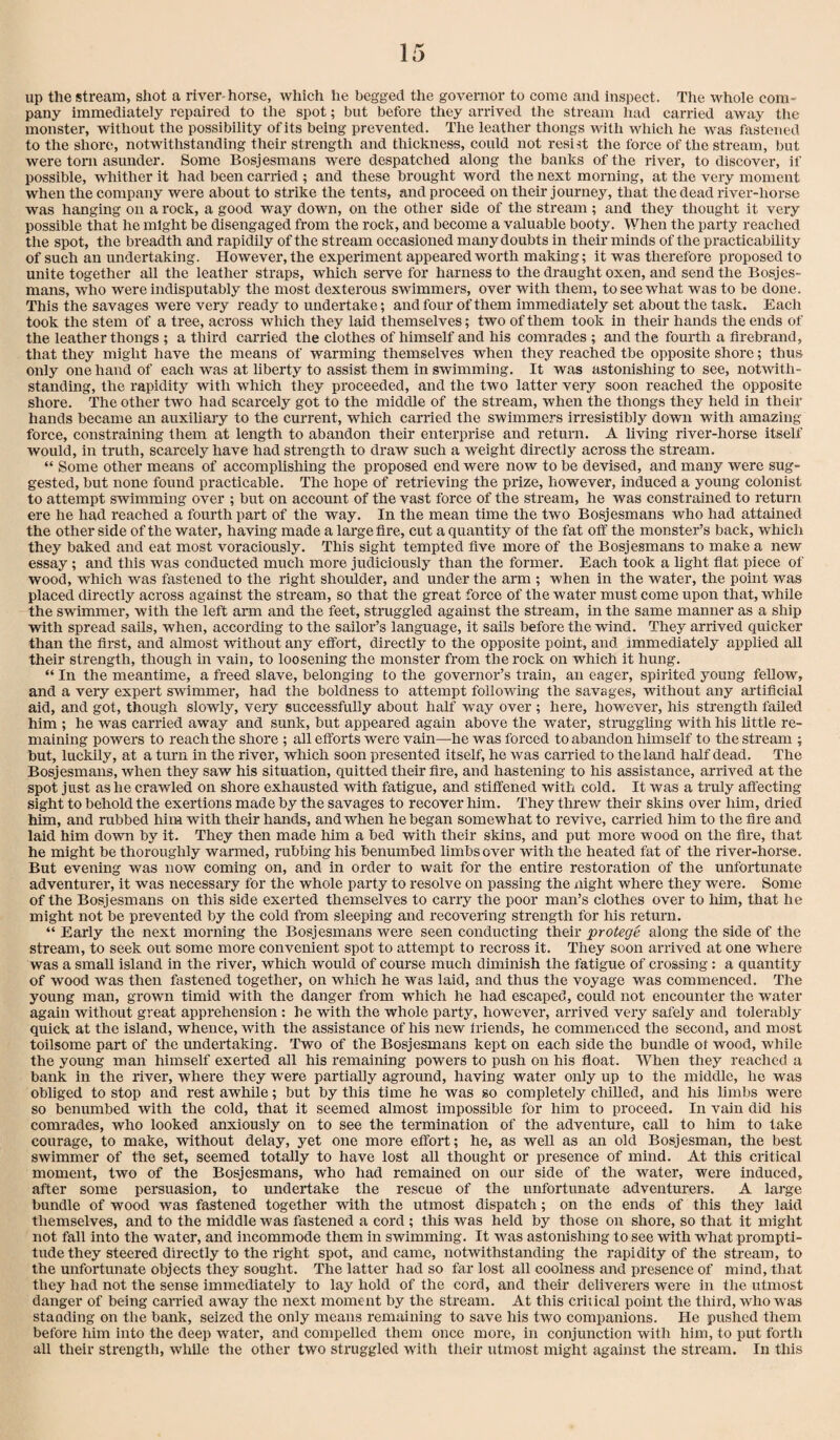 up the stream, shot a river horse, which he begged the governor to come and inspect. The whole com¬ pany immediately repaired to the spot; but before they arrived the stream had carried away the monster, without the possibility of its being prevented. The leather thongs with which he was fastened to the shore, notwithstanding their strength and thickness, could not resi-it the force of the stream, but were torn asunder. Some Bosjesmans were despatched along the banks of the river, to discover, if possible, whither it had been carried ; and these brought word the next morning, at the very moment when the company were about to strike the tents, and proceed on their journey, that the dead river-horse was hanging on a rock, a good way down, on the other side of the stream ; and they thought it very possible that he might be disengaged from the rock, and become a valuable booty. When the party reached the spot, the breadth and rapidily of the stream occasioned many doubts in their minds of the practicability of such an undertaking. However, the experiment appeared worth making; it was therefore proposed to unite together all the leather straps, which seiwe for harness to the draught oxen, and send the Bosjes¬ mans, who were indisputably the most dexterous swimmers, over with them, to see what was to be done. This the savages were very ready to undertake; and four of them immediately set about the task. Each took the stem of a tree, across which they laid themselves; two of them took in their hands the ends of the leather thongs ; a third carried the clothes of himself and his comrades ; and the fourth a firebrand, that they might have the means of warming themselves when they reached the opposite shore; thus only one hand of each was at liberty to assist them in swimming. It was astonishing to see, notwith¬ standing, the rapidity with which they proceeded, and the two latter very soon reached the opposite shore. The other two had scarcely got to the middle of the stream, when the thongs they held in their hands became an auxiliary to the current, which carried the swimmers irresistibly down with amazing- force, constraining them at length to abandon their enterprise and return. A living river-horse itself would, in truth, scarcely have had strength to draw such a weight directly across the stream. “ Some other means of accomplishing the proposed end were now to be devised, and many were sug¬ gested, but none found practicable. The hope of retrieving the prize, however, induced a young colonist to attempt swimming over ; but on account of the vast force of the stream, he was constrained to return ere he had reached a fourth part of the way. In the mean time the two Bosjesmans who had attained the other side of the water, having made a large fire, cut a quantity of the fat otf the monster’s back, which they baked and eat most voraciously. This sight tempted five more of the Bosjesmans to make a new essay; and this was conducted much more judiciously than the former. Each took a light flat piece of wood, which was fastened to the right shoulder, and under the arm ; when in the water, the point was placed directly across against the stream, so that the great force of the water must come upon that, while the swimmer, with the left arm and the feet, struggled against the stream, in the same manner as a ship •with spread sails, when, according to the sailor’s language, it sails before the wind. They arrived quicker than the first, and almost without any effort, directly to the opposite point, and immediately applied all their strength, though in vain, to loosening the monster from the rock on which it hung. “ In the meantime, a freed slave, belonging to the governor’s train, an eager, spirited young feUow, and a very expert swimmer, had the boldness to attempt following the savages, without any artificial aid, and got, though slowly, very successfully about half wmy over ; here, however, his strength failed him ; he was carried away and sunk, but appeared again above the water, struggling with his little re¬ maining powers to reach the shore ; all efforts were vain—he was forced to abandon himself to the stream ; but, luckily, at a turn in the river, wliich soon presented itself, he was carried to the land half dead. The Bosjesmans, when they saw his situation, quitted their fire, and hastening to his assistance, arrived at the spot just as he crawled on shore exhausted with fatigue, and stiffened with cold. It was a truly affecting sight to behold the exertions made by the savages to recover liim. They threw their skins over him, dried him, and rubbed him with their hands, and when he began somewhat to revive, carried him to the fire and laid him do-wn by it. They then made him a bed -with their skins, and put more wood on the fire, that he might be thoroughly warmed, rubbing his benumbed limbs over wdth the heated fat of the river-horse. But evening was now coming on, and in order to wait for the entire restoration of the unfortunate adventurer, it was necessary for the whole party to resolve on passing the xiight where they were. Some of the Bosjesmans on this side exerted themselves to carry the poor man’s clothes over to him, that he might not be prevented by the cold from sleeping and recovering strength for his return. “ Early the next morning the Bosjesmans were seen conducting their protege along the side of the stream, to seek out some more convenient spot to attempt to recross it. They soon arrived at one where was a small island in the river, which would of course much diminish the fatigue of crossing: a quantity of wood was then fastened together, on which he was laid, and thus the voyage was commenced. The young man, grown timid with the danger from -which he had escaped, could not encounter the water again without great apprehension : he with the whole party, however, arrived very safely and tolerably quick at the island, whence, with the assistance of his new friends, he commenced the second, and most toilsome part of the undertaking. Two of the Bosjesmans kept on each side the bundle of wood, while the young man himself exerted all his remaining powers to push on his float. When they reached a bank in the river, where they were partially aground, having water only up to the middle, he was obliged to stop and rest awhile; but by this time he was so completely chilled, and Iris limbs were so benumbed with the cold, that it seemed almost impossible for him to proceed. In vain did his comrades, who looked anxiously on to see the termination of the adventure, call to him to take courage, to make, -without delay, yet one more effort; he, as well as an old Bosjesman, the best swimmer of the set, seemed totally to have lost all thought or presence of mind. At this critical moment, two of the Bosjesmans, who had remained on our side of the water, were induced, after some persuasion, to undertake the rescue of the unfortunate adventurers. A large bundle of wood was fastened together with the utmost dispatch; on the ends of this they laid themselves, and to the middle was fastened a cord ; this was held by those on shore, so that it might not fall into the water, and incommode them in swimming. It w'as astonishing to see -with what prompti¬ tude they steered directly to the right spot, and came, notwithstanding the rapidity of the stream, to the unfortunate objects they sought. The latter had so far lost all coolness and presence of mind, that they had not the sense immediately to lay hold of the cord, and their deliverers were in the utmost danger of being earned away the next moment by the stream. At this criiical point the third, who w'as standing on the bank, seized the only means remaining to save his two companions. He pushed them before him into the deep water, and compelled them once more, in conjunction with him, to put forth all their strength, while the other two struggled with their utmost might against the stream. In this