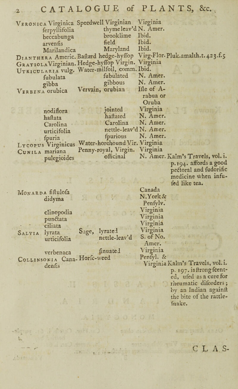 Veronica Virginica ferpyllifolia beccabunga arvenfis Marilandica Dianthera Americ. Gratio la Virginian. Utricularia vulg. fubulata gibba Verbena orubica nodiflora haftata Carolina urticifolia fpuria . Lycopus Virginicus Cunila mariana pulegioides Speedwell Virginian Virginia thyme leav’d N. Amer. brooklime Ibid, field Ibid. Maryland Ibid. Ballard hedge-hyffop Virg-Flor. Pluk.amalth.t.423.^5 Hedge-hyflop Virgin. Virginia Water-milfoil, comm. Ibid. Tubulated N. Amer. gibbous N. Amer. Vervain, orubian Ifle of A- rabua or Oruba jointed Virginia haflated N. Amer. Carolina N. Amer. nettle-leav’d N. Amer. fpurious N. Amer. Water-horehound Vir. Virginia Penny-royal, Virgin. Virginia officinal Monarda fiflulofa didyma clinopodia pundlata ciliata Salvia lyrata urticifolia verbenaca Collinsonia Cana- denfis Sage, lyrated nettle-leav'd finuatei Horfc-weed N. Amer. Kalm’s Travels, vol. i. p. 194. affords a good pefloral and fudorific medicine when infu- fed like tea. Canada N.Yorkfc Penfylv. Virginia Virginia Virginia Virginia S. of No. Amer. Virginia Penfyl. & Virginia Kalin’s Travels, vol.i. p. 197. isltrongfcent- ed, ufed as a cure for rheumatic diforders; by an Indian againit the bite of the rattle- fnake. \