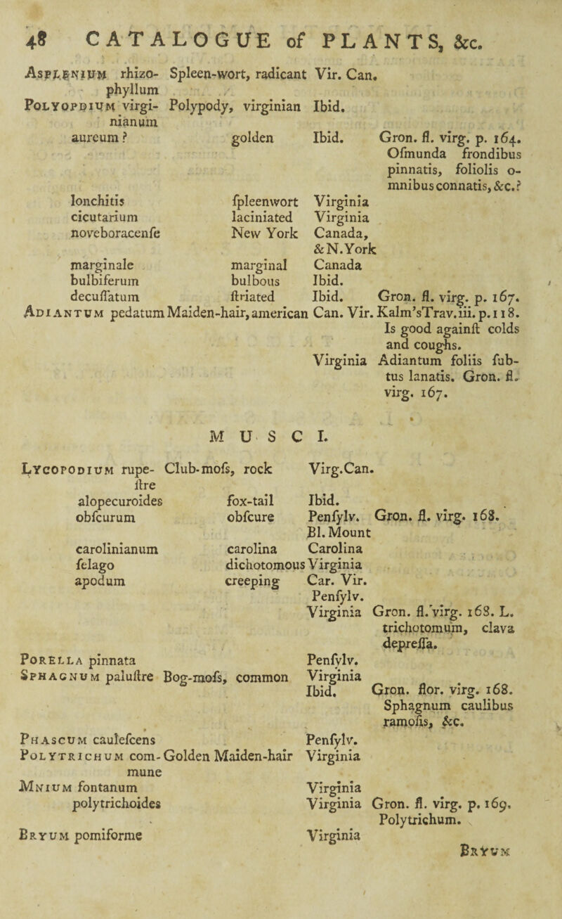 Asplwivm rhizo- Spleen-wort, radicant Vir. Can. phyllum Polyopdium virgi- Polypody, Virginian Ibid, nianum aureum? golden Ibid. Gron. fl. virg. p. 164. Ofmunda frondibus pinnatis, foliolis o- mnibus connatis, &c.? lonchitis fpleenwort Virginia cicutarium laciniated Virginia noveboracenfe New York Canada, &N.York marginale marginal Canada bulbiferum bulbous Ibid. decuflatum flriated Ibid. Gron. fl. virg. p. 167. Adiantum pedatum Maiden-hair, american Can. Vir. Kalm’sTrav.iii.p.i 18. Is good againft colds and coughs. Virginia Adiantum foliis fub- tus lanatis. Gron. fh virg. 167. ft M US C L Lycopodium rupe- Club-mofs, rock lire alopecuroides obfeurum Virg.Can. carolinianum fdago apodum fox-tail obfeure Ibid. Penfylv. Gron. A. virg. 163. Bl. Mount Carolina Carolina dichotomous Virginia creeping Car. Vir. Penfylv. Virginia Gron. fl. virg. 16S. L. trichotomum, clava deprefla. Porella pinnata Sphagnum palullre Bog-mols, common Phascum caulefcens Polytrichum com-Golden Maiden-hair mune Mnium fontanum polytrichoides Bryum pomiforme Penfvlv. Virginia Ibid, Gron. flor. virg. 168. Sphagnum caulibus ramofis, &c. Penfylv. Virginia Virginia Virginia Virginia Gron. fl. virg. p. 169, Polytrichum. BrYvm /