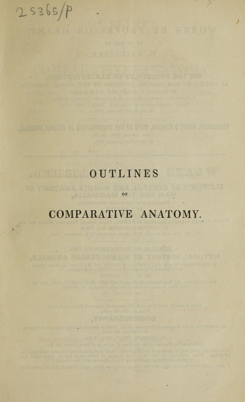 OUTLINES t OF COMPARATIVE ANATOMY.