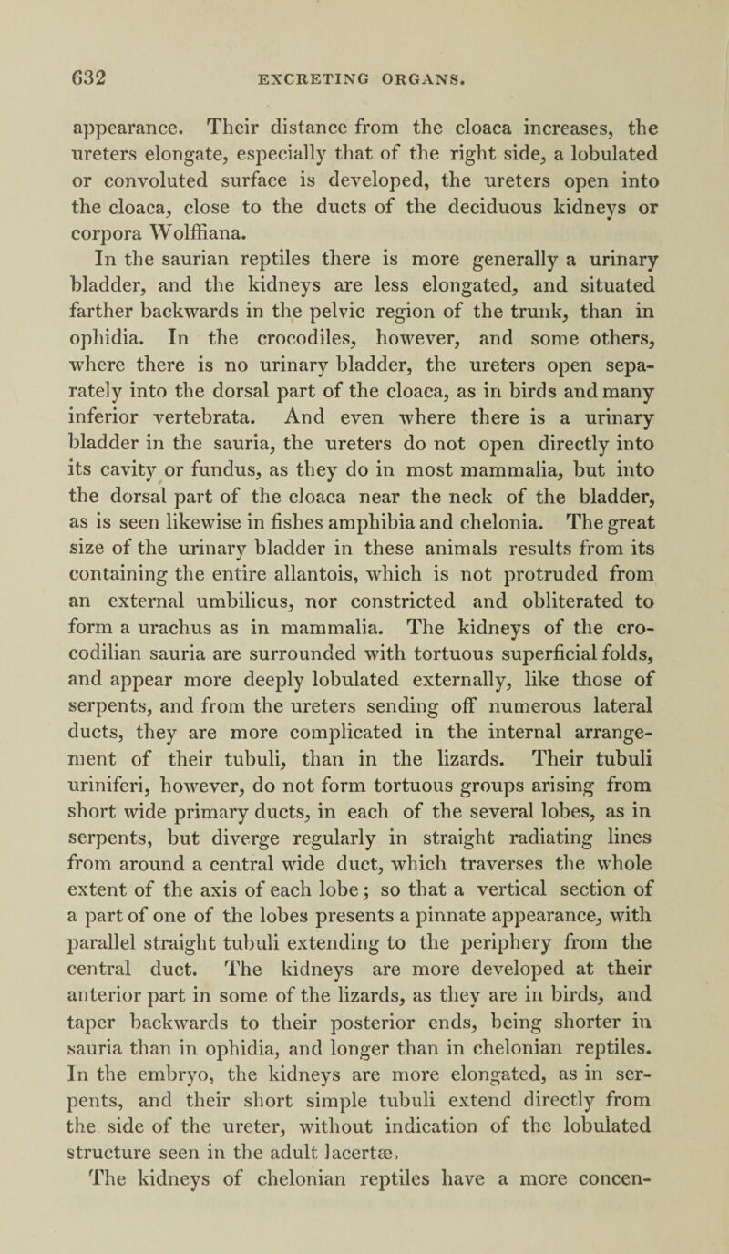 appearance. Their distance from the cloaca increases, the ureters elongate, especially that of the right side, a lobulated or convoluted surface is developed, the ureters open into the cloaca, close to the ducts of the deciduous kidneys or corpora Wolffiana. In the saurian reptiles there is more generally a urinary bladder, and the kidneys are less elongated, and situated farther backwards in the pelvic region of the trunk, than in ophidia. In the crocodiles, however, and some others, where there is no urinary bladder, the ureters open sepa¬ rately into the dorsal part of the cloaca, as in birds and many inferior vertebrata. And even where there is a urinary bladder in the sauria, the ureters do not open directly into its cavity or fundus, as they do in most mammalia, but into the dorsal part of the cloaca near the neck of the bladder, as is seen likewise in fishes amphibia and chelonia. The great size of the urinary bladder in these animals results from its containing the entire allantois, which is not protruded from an external umbilicus, nor constricted and obliterated to form a urachus as in mammalia. The kidneys of the cro¬ codilian sauria are surrounded with tortuous superficial folds, and appear more deeply lobulated externally, like those of serpents, and from the ureters sending off numerous lateral ducts, they are more complicated in the internal arrange¬ ment of their tubuli, than in the lizards. Their tubuli uriniferi, however, do not form tortuous groups arising from short wide primary ducts, in each of the several lobes, as in serpents, but diverge regularly in straight radiating lines from around a central wide duct, which traverses the whole extent of the axis of each lobe; so that a vertical section of a part of one of the lobes presents a pinnate appearance, with parallel straight tubuli extending to the periphery from the central duct. The kidneys are more developed at their anterior part in some of the lizards, as they are in birds, and taper backwards to their posterior ends, being shorter in sauria than in ophidia, and longer than in chelonian reptiles. In the embryo, the kidneys are more elongated, as in ser¬ pents, and their short simple tubuli extend directly from the side of the ureter, without indication of the lobulated structure seen in the adult Jacertee, The kidneys of chelonian reptiles have a more concen-