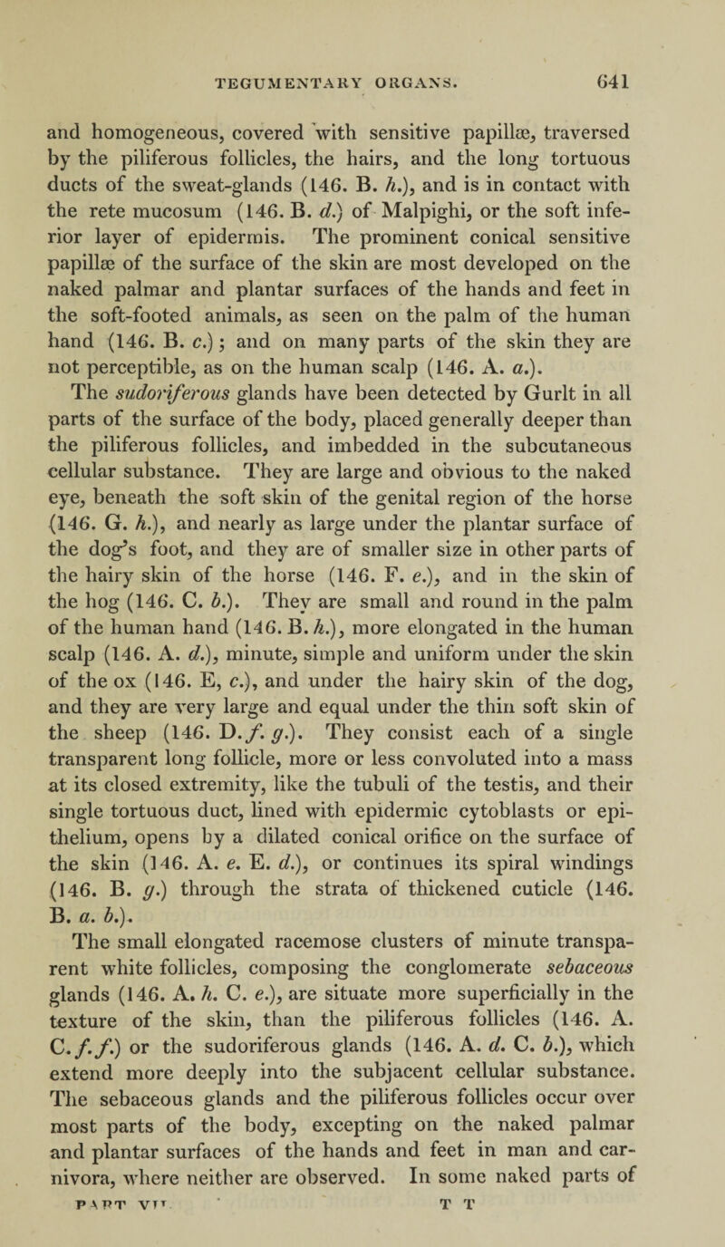 and homogeneous, covered with sensitive papillae, traversed by the piliferous follicles, the hairs, and the long tortuous ducts of the sweat-glands (146. B. A.), and is in contact with the rete mucosum (146. B. d.) of Malpighi, or the soft infe¬ rior layer of epidermis. The prominent conical sensitive papillae of the surface of the skin are most developed on the naked palmar and plantar surfaces of the hands and feet in the soft-footed animals, as seen on the palm of the human hand (146. B. c.); and on many parts of the skin they are not perceptible, as on the human scalp (146. A. a.). The sudoriferous glands have been detected by Gurlt in all parts of the surface of the body, placed generally deeper than the piliferous follicles, and imbedded in the subcutaneous cellular substance. They are large and obvious to the naked eye, beneath the soft skin of the genital region of the horse (146. G. A.), and nearly as large under the plantar surface of the dog’s foot, and they are of smaller size in other parts of the hairy skin of the horse (146. F. e.)9 and in the skin of the hog (146. C. b.). They are small and round in the palm of the human hand (146. B. A.), more elongated in the human scalp (146. A. d.), minute, simple and uniform under the skin of the ox (146. E, c.), and under the hairy skin of the dog, and they are very large and equal under the thin soft skin of the sheep (146. D./*. g.). They consist each of a single transparent long follicle, more or less convoluted into a mass at its closed extremity, like the tubuli of the testis, and their single tortuous duct, lined with epidermic cytoblasts or epi¬ thelium, opens by a dilated conical orifice on the surface of the skin (146. A. e, E. d.), or continues its spiral windings (146. B. g.) through the strata of thickened cuticle (146. B. a. A.). The small elongated racemose clusters of minute transpa¬ rent white follicles, composing the conglomerate sebaceous glands (146. A. A. C. e.), are situate more superficially in the texture of the skin, than the piliferous follicles (146. A. C. /./.) or the sudoriferous glands (146. A. d. C. A.), which extend more deeply into the subjacent cellular substance. The sebaceous glands and the piliferous follicles occur over most parts of the body, excepting on the naked palmar and plantar surfaces of the hands and feet in man and car¬ nivora, where neither are observed. In some naked parts of T T PART VTt