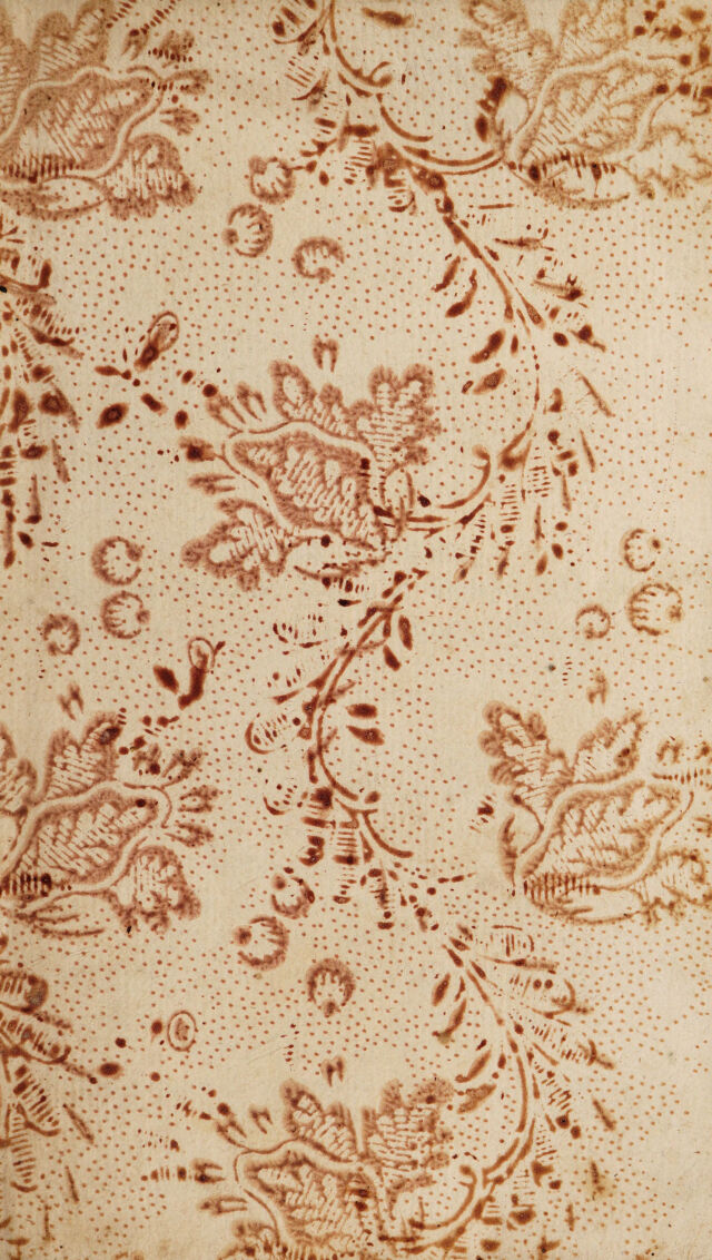 digitised image 1
