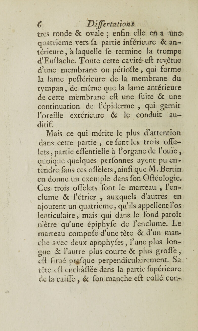 £ Dijfer tâtions très ronde & ovale ; enfin elle en a une quatrième vers fa partie inférieure & an¬ térieure , à laquelle fe termine la trompe d’Euftache. Toute cette cavité-eft revêtue d'une membrane ou périofte, qui forme ]a lame poftérieure de la membrane du tympan, de même que la lame antérieure de cette membrane eft une fuite & une continuation de l’épiderme , qui garnit l’oreille extérieure & le conduit au¬ ditif. Mais ce qui mérite le plus d’attention dans cette partie , ce font les trois ofle- lets, partie effentielie à l’organe de l’ouïe, quoique quelques perfonnes ayent pu en¬ tendre fans ces ofielets, ainfi que M. Bertin en donne un exemple dans fon Oftéologie. Ces trois ofielets font le marteau , l’en¬ clume & l’étrier , auxquels d'autres en ajoutent un quatrième, qu’ils appellent l’os lenticulaire, mais qui dans le fond paroît n'être qu’une épiphyfe de l’enclume. Le marteau compofé d’une tête & d’un man¬ che avec deux apophyfes, l’une plus lon¬ gue & l’autre plus courte & plus grofie, eft fi tué prefque perpendiculairement. Sa tête eft enchâlfée dans la partie fupérieurc de la caille ? & fon manche eft collé con-