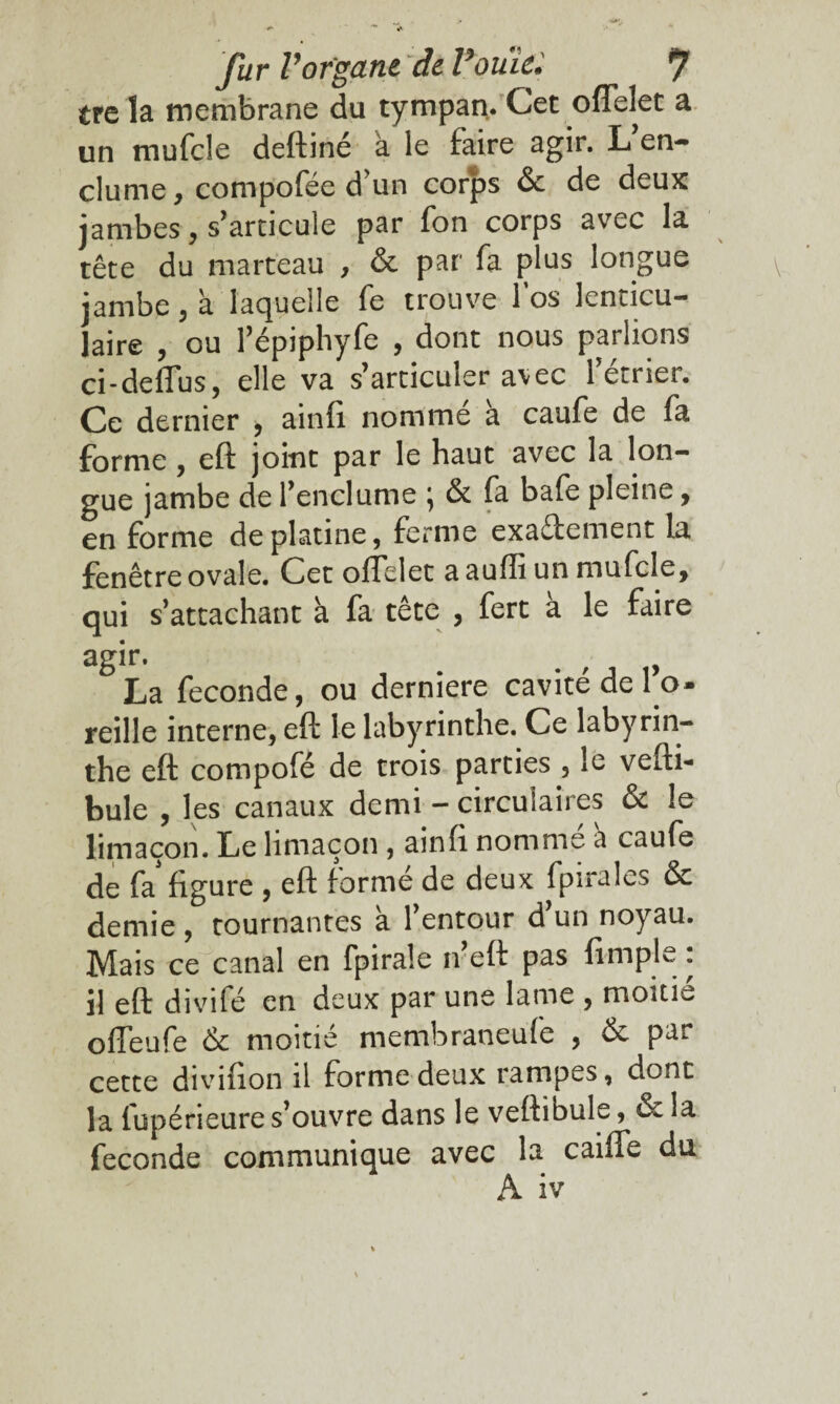 tre la membrane du tympan. Cet oflelet a un mufcle deftiné à le faire agir. L en¬ clume , compofée d'un corps & de deux jambes, s’articule par fon corps avec la tête du marteau , & par fa plus longue jambe, à laquelle fe trouve los lenticu¬ laire , ou répiphyfe , dont nous parlions ci-deflus, elle va s’articuler avec l’étrier. Ce dernier , ainfi nommé à caufe de fa forme, eft joint par le haut avec la lon¬ gue jambe de l’enclume j & fa bafe pleine, en forme de platine, ferme exaftement la fenêtre ovale. Cet oftelet aaufli un mufcle, qui s’attachant à fa tête , fert a le faire agir. # y La fécondé, ou derniere cavité de l o- reille interne, eft le labyrinthe. Ce labyrin¬ the eft compofé de trois parties , le vefti- bule , les canaux demi - circulaires & le limaçon. Le limaçon , ainfi nommé à caufe de fa figure , eft formé de deux fpirales & demie , tournantes à l’entour d un noyau. Mais ce canal en fpirale n’eft pas fimple : il eft divifé en deux par une lame , moitié ofteufe & moitié membraneufe , & par cette divifion il forme deux rampes, dont la fupérieure s’ouvre dans le veftibule, & la fécondé communique avec la caifle du