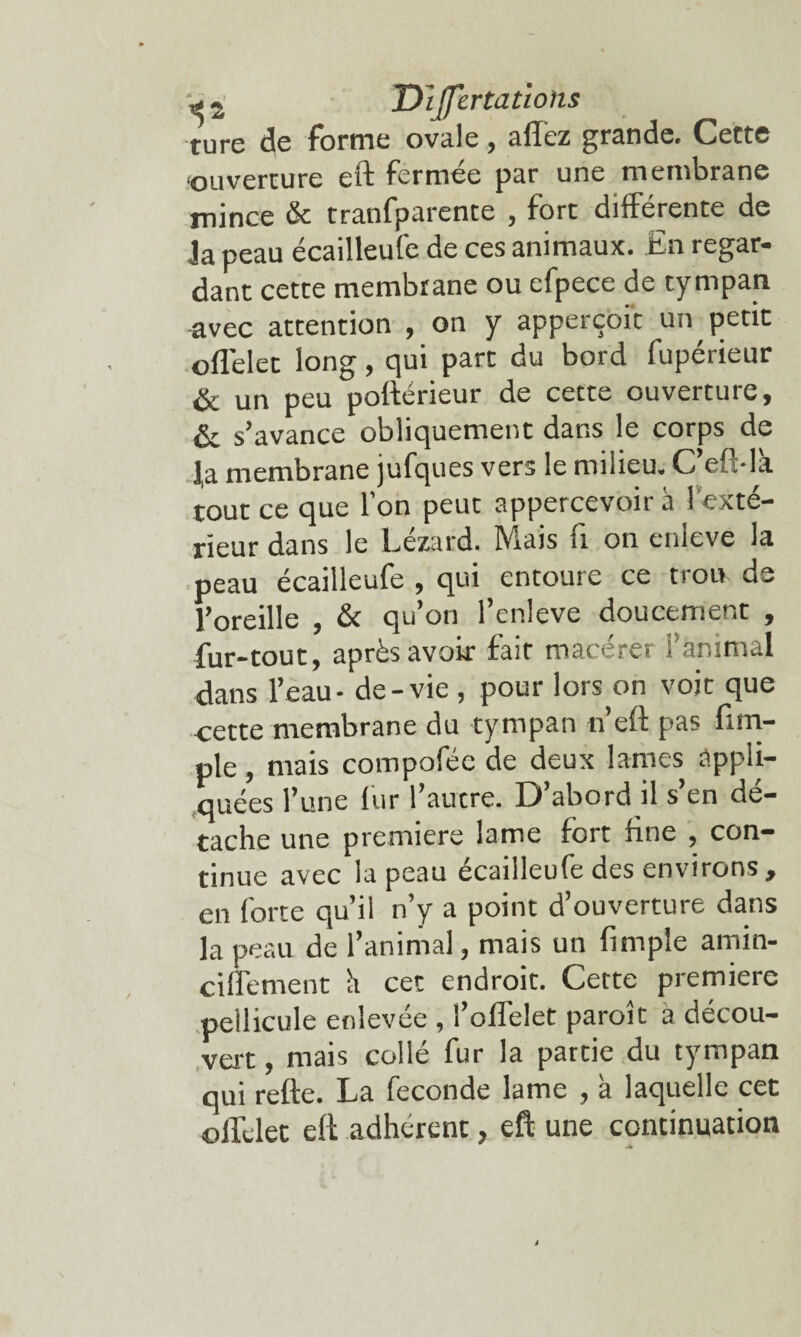 turc de forme ovale, affez grande. Cette ouverture eft fermée par une membrane mince & tranfparente , fort différente de 4a peau écailleufe de ces animaux, fin regar¬ dant cette membrane ou efpece de tympan avec attention , on y apperçoft un petit offelec long, qui part du bord fupérieur & un peu poftérieur de cette ouverture, éc s’avance obliquement dans le corps de fa membrane jufques vers le milieu. C’eft-là tout ce que l’on peut appercevoir h l'exté¬ rieur dans le Lézard. Mais fx on enleve la peau écailleufe , qui entoure ce trou de l’oreille , & qu’on l’cnleve doucement , fur-tout, après avoir fait macérer l’animal élans l’eau- de-vie , pour lors on voit que cette membrane du tympan n’eft pas fxm- ple, mais compoféc de deux lames appli¬ quées l’une lur 1 autre. D abord il s en dé¬ taché une première lame fort fine , con¬ tinue avec la peau écailleufe des environs, en forte qu’il n’y a point d’ouverture dans la peau de l’animal, mais un fimple amin- ciflement h cet endroit. Cette première pellicule enlevée , l’offelet paroit a décou¬ vert , mais collé fur la partie du tympan qui refte. La fécondé lame , a laquelle cet offdet eft adhérent, eft une continuation