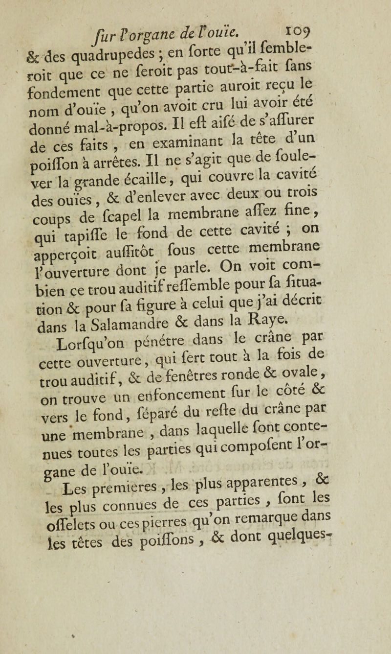 & des quadrupèdes ; en forte qu’il femble- roic que ce ne feroit pas toutf-à-fait fans fondement que cette partie auroit reçu le nom d’ouïe , qu’on avoit cru lui avoir été donné mal-à-propos. Il eft aife de s aflurer de ces faits , en examinant la tete d un poiffon à arrêtes. Il ne s’agit que de foule- ver la grande écaille, qui couvre la cavité des ouïes , & d’enlever avec deux ou trois coups de feapel la membrane anez^ fine, qui tapiffe le fond de cette cavité ; on appercoit auffitôt fous cette membrane l’ouverture dont je parle. On voit com¬ bien ce trou auditif reiïemble pour fa litua- tion & pour fa figure à celui que ] ai décrit dans la Salamandre & dans la Raye. Lorfqu’on pénétre dans le crâne par cette ouverture, qui fert tout à la fois de trou auditif, & de fenêtres ronde & ovale, on trouve un enfoncement fur e co.e vers le fond, féparé du refte du crâne par une membrane , dans laquelle font conte¬ nues toutes les parties qmcompolent or- gane de l ouie. « Les premières , les plus apparentes , & les plus connues de ces parties , font les offelets ou ces pierres qu’on remarque dans les têtes des poiffons , & dont quelques-