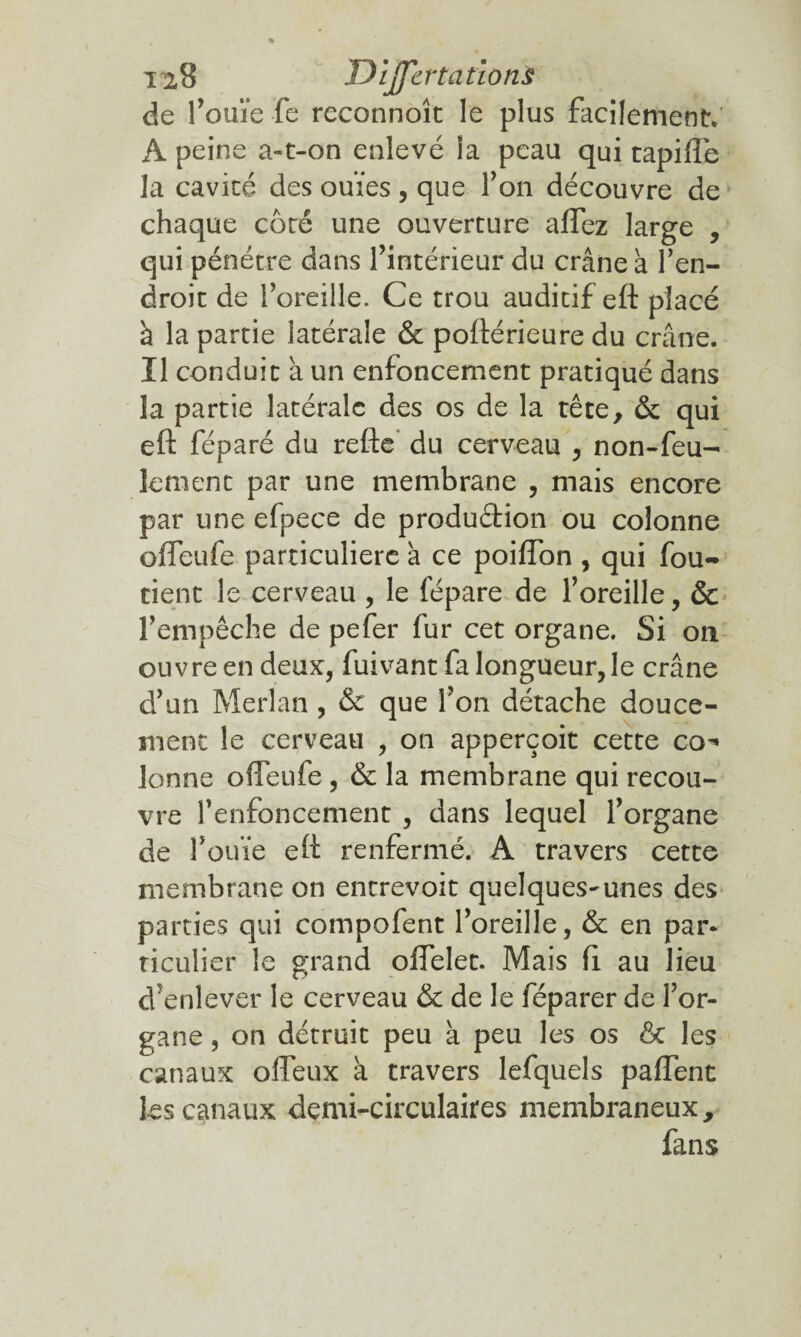 de l’ouïe fe reconnoît le plus facilement. A peine a-t-on enlevé la peau qui tapiflb la cavité des ouïes, que l’on découvre de chaque côté une ouverture affez large , qui pénétre dans l’intérieur du crâne à l’en- droit de l’oreille. Ce trou auditif eft placé à la partie latérale & poftérieure du crâne. Il conduit à un enfoncement pratiqué dans la partie latérale des os de la tête, & qui eft féparé du refte du cerveau , non-feu¬ lement par une membrane , mais encore par une efpece de produétion ou colonne ofleufe particulière â ce poiiïon , qui fou- tient le cerveau , le fépare de l’oreille, & l’empêche de pefer fur cet organe. Si on ouvre en deux, fuivant fa longueur, le crâne d’un Merlan , & que l’on détache douce¬ ment le cerveau , on apperçoit cette co*» lonne ofleufe , & la membrane qui recou¬ vre renfoncement , dans lequel l’organe de l’ouïe eft renfermé. A travers cette membrane on entrevoit quelques-unes des parties qui compofent l’oreille, & en par¬ ticulier le grand offelet. Mais fi au lieu cf enlever le cerveau & de le féparer de l’or¬ gane , on détruit peu à peu les os & les canaux ofleux à travers lefquels paffent les canaux demi-circulaires membraneux, fans