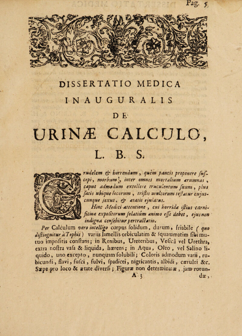 IN AUGURALI S D E L. B. S, rudelem & horrendum , quem paucis proponere fufi. cepi, morbum inter omnes retor talium arumnas , caput admodum extollere truculentum ftutm, plus fatis ubique locorum , triftis multorum teftatur cujus- cunque fexus, atatis ejulatus. Hinc Medici attentione , ctii horrida tfiius carni¬ ficina expolitorum Jolatium animo effc debet, ejus non ' indigna cenfebitur pertractatio. Per Calculum vero intelligo corpus folidum, durum , friabile ( quo difiinguitur dlophis ) variis lamellis orbiculatim & /quarnmatim (Ibi mu¬ tuo impolitis conflans; in Renibus, Ureteribus, Veflca vel Urethra, extra noflra vafa & liquida, haerens; in Aqua, Olea, vel Salino li¬ quido, uno excepto , nunquam folubili; Coloris admodum varii, ru¬ bicundi , flavi, fufei, fulvi, fpadicei, nigricantis, albidi, caerulei 8cc. Saepe pro loco & «tate diverfl; Figurae non determina;ae 3 jam rotun- A $; da?, -