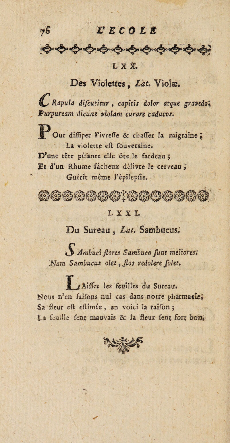LXt Des Violettes, Lat. Vioîæ. Rapula difcutïtur f capitis dolor atque gravedoI Purpuream dicunt violam curare caducos. IP Our dilïïper Pivrefle & cnafTer la migraine j La violette eit fouverainc. ID’une tête pelante eîie ôte le fardeau 5 jEt d’un Rhume fâcheux délivre 3e cerveau , Guérit même l’épiiepfle. LXXÎ. Du Sureau 8 Lat, Sambucus.’ 4S* Ambuci flores Samluco funt meliorèsi Nam Sambucus okttflo$ redolere folet, T iAilfez les feuilles du Sureau» Kous n’en faifops nul cas dans notre pharmacie^ Sa fleur eft eftimée , en voici la raifon ; La feuille fens mauvais 5c la fleur fenç fors bo33*