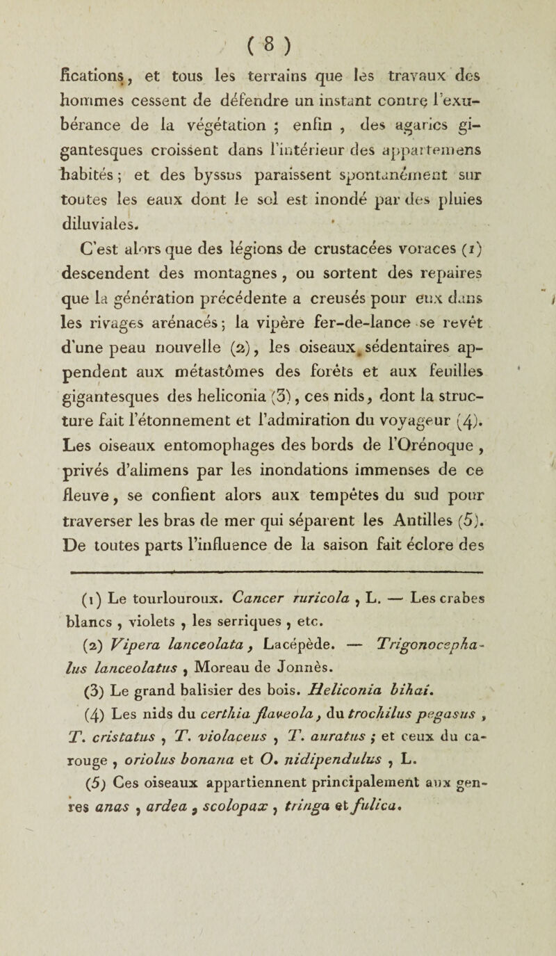 Rcations, et tous les terrains que les travaux des hommes cessent de défendre un instant contre; l’exu¬ bérance de la végétation ; enfin , des agarics gi¬ gantesques croissent dans l’intérieur des appartenions habités ; et des byssus paraissent spontanément sur toutes les eaux dont le sol est inondé par des pluies diluviales. C’est alors que des légions de crustacées voraces (i) descendent des montagnes , ou sortent des repaires que la génération précédente a creusés pour eux dans les rivages arénacés; la vipère fer-de-lance se revêt d'une peau nouvelle (2), les oiseaux, sédentaires ap- pendent aux métastômes des forêts et aux feuilles gigantesques des heliconia (5), ces nids, dont la struc¬ ture fait l’étonnement et l’admiration du voyageur (4)* Les oiseaux entomophages des bords de l’Orénoque , privés d’alimens par les inondations immenses de ce fleuve, se confient alors aux tempêtes du sud pour traverser les bras de mer qui séparent les Antilles (5). De toutes parts l’influence de la saison fait éclore des (1) Le tourlouroux. Cancer ruricola } L. — Les crabes blancs , violets , les serriques , etc. (2) Vipera lanceolata } Lacépède. — Trigonocspha- lus lanceolatus , Moreau de Jonnès. (3) Le grand balisier des bois. Heliconia bihai. (4) Les nids du certhia flageola , du trochilus pegasus „ T. cristatus , T. violaceus , T. auratus ; et ceux du ca- rouge , oriolus bonana et O. nidipendulus , L. (5; Ces oiseaux appartiennent principalement aux gen¬ res anas ? ardea 9 scolopax 7 tringa et fui ica*