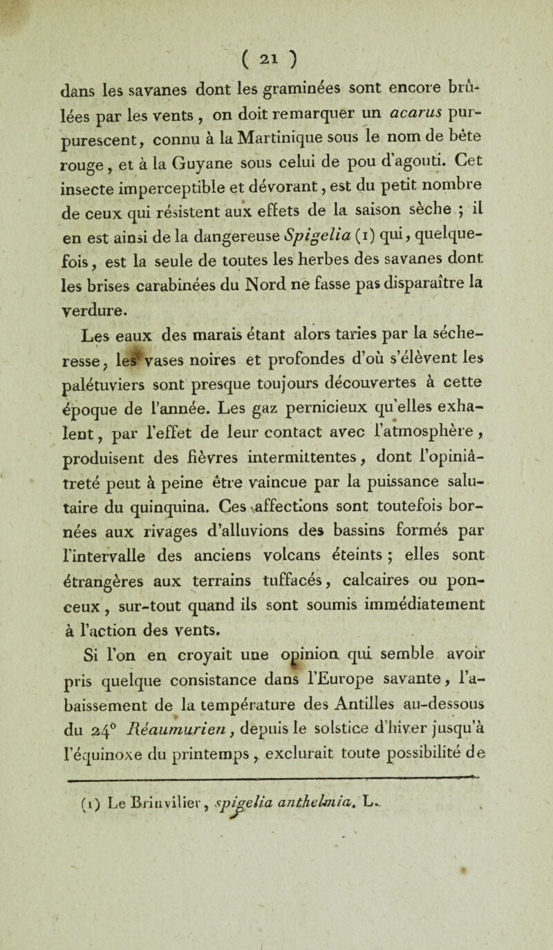 dans les savanes dont les graminées sont encore brù- lées par les vents , on doit remarquer un acarus pur- purescent, connu à la Martinique sous le nom de bête rouge , et à la Ouyane sous celui de pou d agouti. Cet insecte imperceptible et dévorant, est du petit nombre de ceux qui résistent aux effets de la saison seche \ il en est ainsi de la dangereuse Spigelia (i) qui, quelque¬ fois , est la seule de toutes les herbes des savanes dont les brises carabinées du Nord ne fasse pas disparaître la verdure. Les eaux des marais étant alors taries par la séche¬ resse, les' vases noires et profondes d’où s’élèvent les palétuviers sont presque toujours découvertes à cette époque de l’année. Les gaz pernicieux quelles exha¬ lent , par l’effet de leur contact avec l’atmosphère, produisent des fièvres intermittentes, dont l’opiniâ¬ treté peut à peine être vaincue par la puissance salu¬ taire du quinquina. Ces \affectIons sont toutefois bor¬ nées aux rivages d’alluvions des bassins formés par l’intervalle des anciens volcans éteints ; elles sont étrangères aux terrains tuffacés, calcaires ou pon- ceux, sur-tout quand ils sont soumis immédiatement à l’action des vents. Si l’on en croyait une opinion qui semble avoir pris quelque consistance dans l’Europe savante, l’a¬ baissement de la température des Antilles au-dessous du 24° Rèaumurien, depuis le solstice d’hiver jusqu’à l'équinoxe du printemps , exclurait toute possibilité de (1) Le Biiuvilier, spigelia anthalmia.
