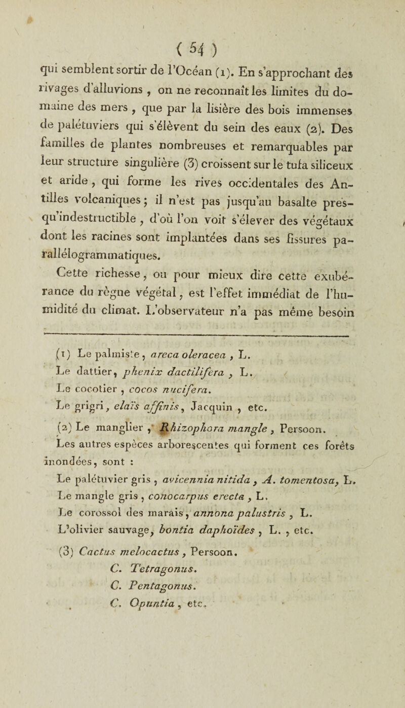 ( 54 ) qui semblent sortir de l’Océan (1). En s’approchant des livages dalluvions , on ne reconnaît les limites du do¬ maine des mers , que par la lisière des bois immenses de palétuviers qui s’élèvent du sein des eaux (2). Des familles de plantes nombreuses et remarquables par leur structure singulière (3) croissent sur le tufa siliceux et aride , qui forme les rives occidentales des An¬ tilles volcaniques; il n’est pas jusqu’au basalte pres- qu indestructible , d où l’on voit s’élever des végétaux dont les racines sont implantées dans ses fissures pa— raîlélograminatiques. Cette richesse, ou pour mieux dire cette exubé¬ rance du règne végétal, est l’effet immédiat de l’hu¬ midité du climat. L’observateur n’a pas même besoin (1) Le palmiste , areca oleracea , L. Le dattier, phénix dactilifera , L. Le cocotier , cocos nucifera. Le grigri, elaïs affinis, Jacquin , etc. (2) Le manglier , Rhizophora mangle , Persoon. Les autres espèces arborescentes qui forment ces forêts inondées, sont : Le palétuvier gris , avicennia nitida , A. tomentosa, L. Le mangle gris , conocarpus erecta , L. Le corossol des marais, annona palustris , L. L’olivier sauvage, hontia daphoïdes , L. , etc. (3) Cactus melocactus , Persoon. C. Tetragonus. C. Pentagonus. - # C. Opuntia, etc.