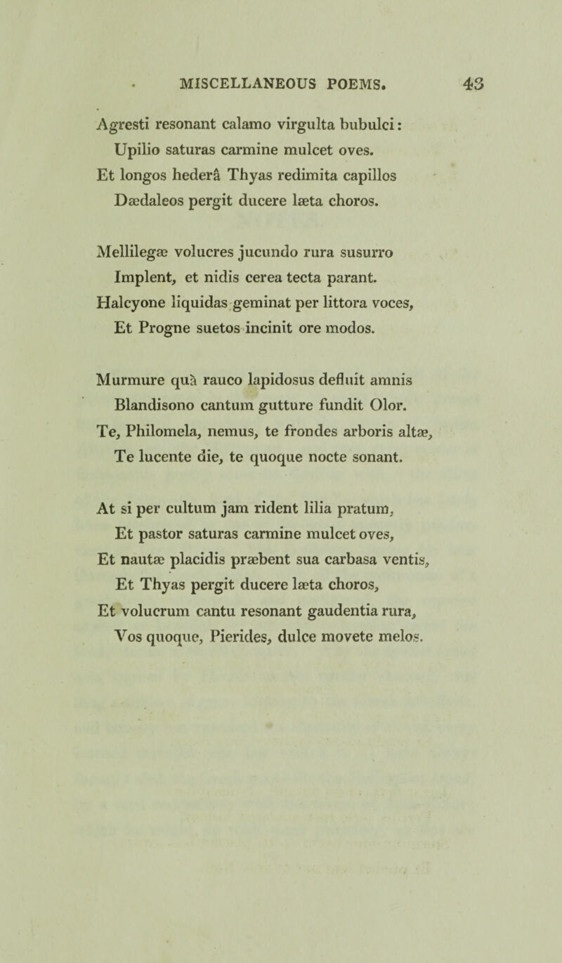 Agresti resonant calamo virgulta bubulci: Upilio saturas carmine mulcet oves. Et longos hedera Thyas redimita capillos Daedaleos pergit ducere laeta chores. Mellilegae volucres jucundo rura susurro Implent, et nidis cerea tecta parant. Haley one liquidas geminat per littora voces, Et Progne suetos incinit ore modes. Murmure qua rauco lapidosus defluit amnis Blandisono cantiun gutture fundit Olor. Te, Philomela, nemus, te frondes arboris altae, Te lucente die, te quoque nocte sonant. At si per cultum jam rident lilia pratum, Et pastor saturas carmine mulcet oves, Et nautae placidis praebent sua carbasa ventis, Et Thyas pergit ducere laeta chores, Et volucrum cantu resonant gaudentia rura, Vos quoque, Pierides, dulce movete melos.