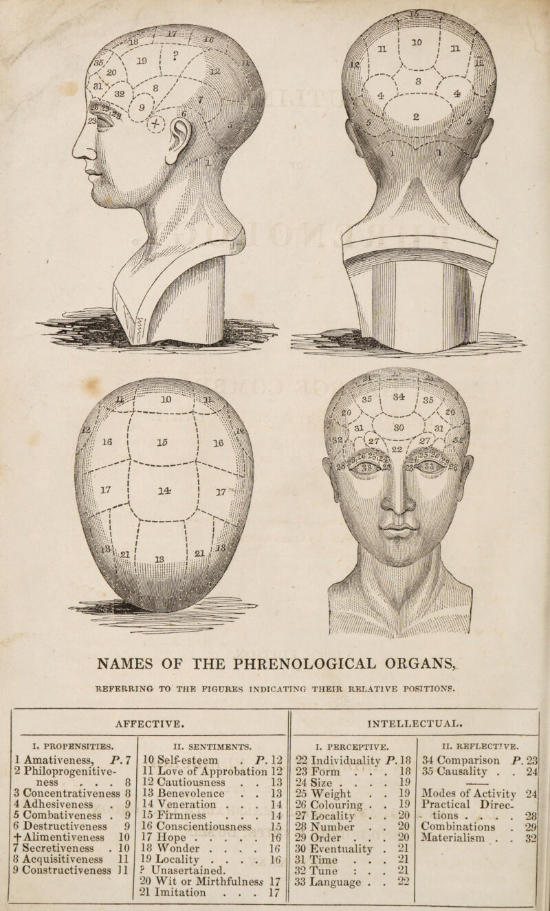 NAMES OF THE PHRENOLOGICAL ORGANS, REFERRING TO THE FIGURES INDICATING THEIR RELATIVE POSITIONS. AFFECTIVE. INTELLECTUAL. I. PROPENSITIES. 1 Amativeness, P. 7 2 Philoprogenitive¬ ness ... 8 3 Concentrativeness 8 4 Adhesiveness . 9 5 Combativeness . 9 6 Destructiveness 9 t Alimentiveness 10 7 Secretiveness . 10 8 Acquisitiveness 11 9 Constructiveness 11 II. SENTIMENTS. 10 Self-esteem . P. 12 11 Love of Approbation 12 12 Cautiousness . . 13 13 Benevolence . . 13 14 Veneration ... 14 15 Firmness ... 14 16 Conscientiousness. 15 17 Hope.16 18 Wonder .... 16 19 Locality .... 16 ? Unasertained. 20 Wit or Mirthfulness 17 21 Imitation ... 17 I. PERCEPTIVE. 22 Individuality P.18 23 Form . . . 18 24 Size .... 19 25 Weight . . 19 26 Colouring . . 19 27 Locality . . 20 28 Number . . 20 29 Order ... 20 30 Eventuality . 21 31 Time . . . 21 32 Tune : . . 21 33 Language . . 22 II. REFLECTIVE. 34 Comparison P. 23 35 Causality . . 24 Modes of Activity 24 Practical Direc- - tions .... 28 Combinations . 29 Materialism . . 32