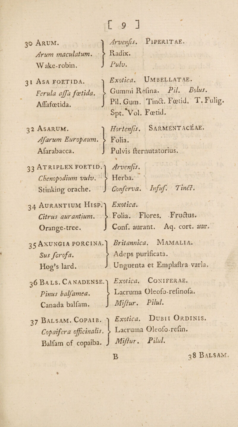 Arum maculatum. ? Wake-robin. J 31 Asa foetida. 1 Ferula affa foetida. ✓ AfTafoetida. J 32 As ARUM. 1 Afarum Europium. J Afarabacca. J 33 AT RI PL EX FOETID. Chenopodium vulv. Stinking orache. 34 Aurantium Hisp,' Citrus aurantium. Orange-tree. 35 Axungia porcina. Sus forofa. Hog’s lard. 36 Bals. Canadense. Pinus balfamea. Canada balfam. 37 Balsam. Copaib. Copaifera officinalis. Balfam of copaiba. * [ 9 ] Radix. Pulv. Exotica. Um B ELL AT AE. Gummi Refina. Pil. Bolus. Pil. Gum. Tin£t. Foetid. T.Fulig* Spt.*Vol. Foetid. Hortenfis. SarmentacEAE. Folia. Pulvis fternutatorius. I Arvenfis. Herba, Conferva. Infuf. T incl. Exotica. Folia. Flores. Fructus. Conf. aurant. Aq. cort. aur, Br it ann ica. M am alia. > Adeps purifkata. LJnguenta et Emplaflra varia, I Exotica. Coniferae. I Lacruma Oleoio-refmofa. ( Mifiur. Pilul. 1.Exotica. Dubii Ordinis. Lacruma Oleofo-refin. Mifiur. Pilul. B 38 Balsam