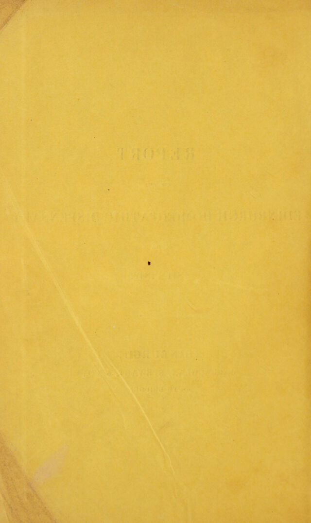 digitised image 2