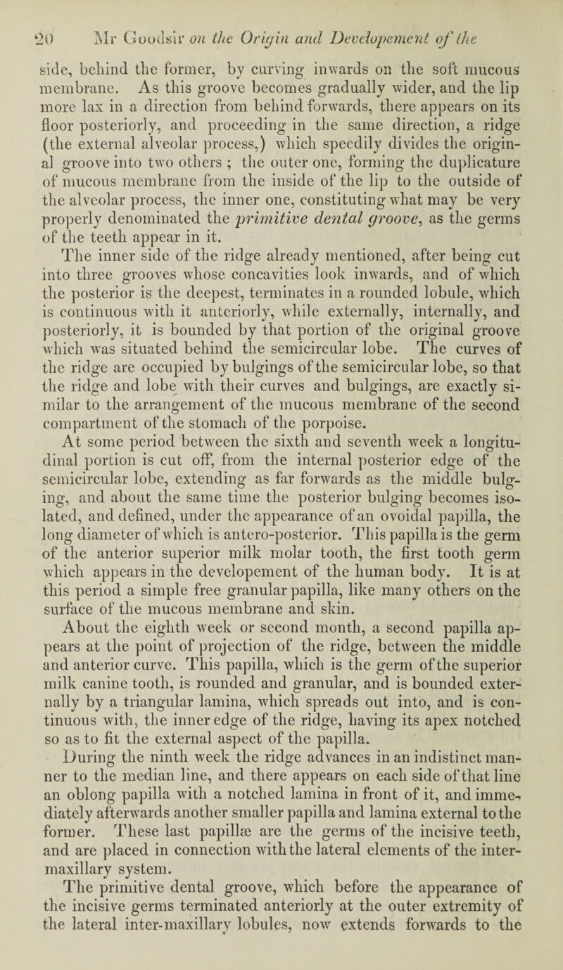 side, behind the former, by curving inwards on the soft mucous membrane. As this groove becomes gradually wider, and the lip more lax in a direction from behind forwards, there appears on its floor posteriorly, and proceeding in the same direction, a ridge (the external alveolar process,) which speedily divides the origin¬ al groove into two others ; the outer one, forming the duplicature of mucous membrane from the inside of the lip to the outside of the alveolar process, the inner one, constituting what may be very properly denominated the primitive dental groove, as the germs of the teeth appear in it. The inner side of the ridge already mentioned, after being cut into three grooves whose concavities look inwards, and of which the posterior is the deepest, terminates in a rounded lobule, which is continuous with it anteriorly, while externally, internally, and posteriorly, it is bounded by that portion of the original groove which was situated behind the semicircular lobe. The curves of the ridge are occupied by bulgings of the semicircular lobe, so that the ridge and lobe with their curves and bulgings, are exactly si¬ milar to the arrangement of the mucous membrane of the second compartment of the stomach of the porpoise. At some period between the sixth and seventh week a longitu¬ dinal portion is cut off, from the internal posterior edge of the semicircular lobe, extending as far forwards as the middle bulg¬ ing, and about the same time the posterior bulging becomes iso¬ lated, and defined, under the appearance of an ovoidal papilla, the long diameter of which is antero-posterior. This papilla is the germ of the anterior superior milk molar tooth, the first tooth germ which appears in the developement of the human body. It is at this period a simple free granular papilla, like many others on the surface of the mucous membrane and skin. About the eighth week or second month, a second papilla ap¬ pears at the point of projection of the ridge, between the middle and anterior curve. This papilla, which is the germ of the superior milk canine tooth, is rounded and granular, and is bounded exter¬ nally by a triangular lamina, which spreads out into, and is con¬ tinuous with, the inner edge of the ridge, having its apex notched so as to fit the external aspect of the papilla. During the ninth week the ridge advances in an indistinct man¬ ner to the median line, and there appears on each side of that line an oblong papilla with a notched lamina in front of it, and imme-, diately afterwards another smaller papilla and lamina external to the former. These last papillae are the germs of the incisive teeth, and are placed in connection with the lateral elements of the inter¬ maxillary system. The primitive dental groove, which before the appearance of the incisive germs terminated anteriorly at the outer extremity of the lateral inter-maxillarv lobules, now extends forwards to the