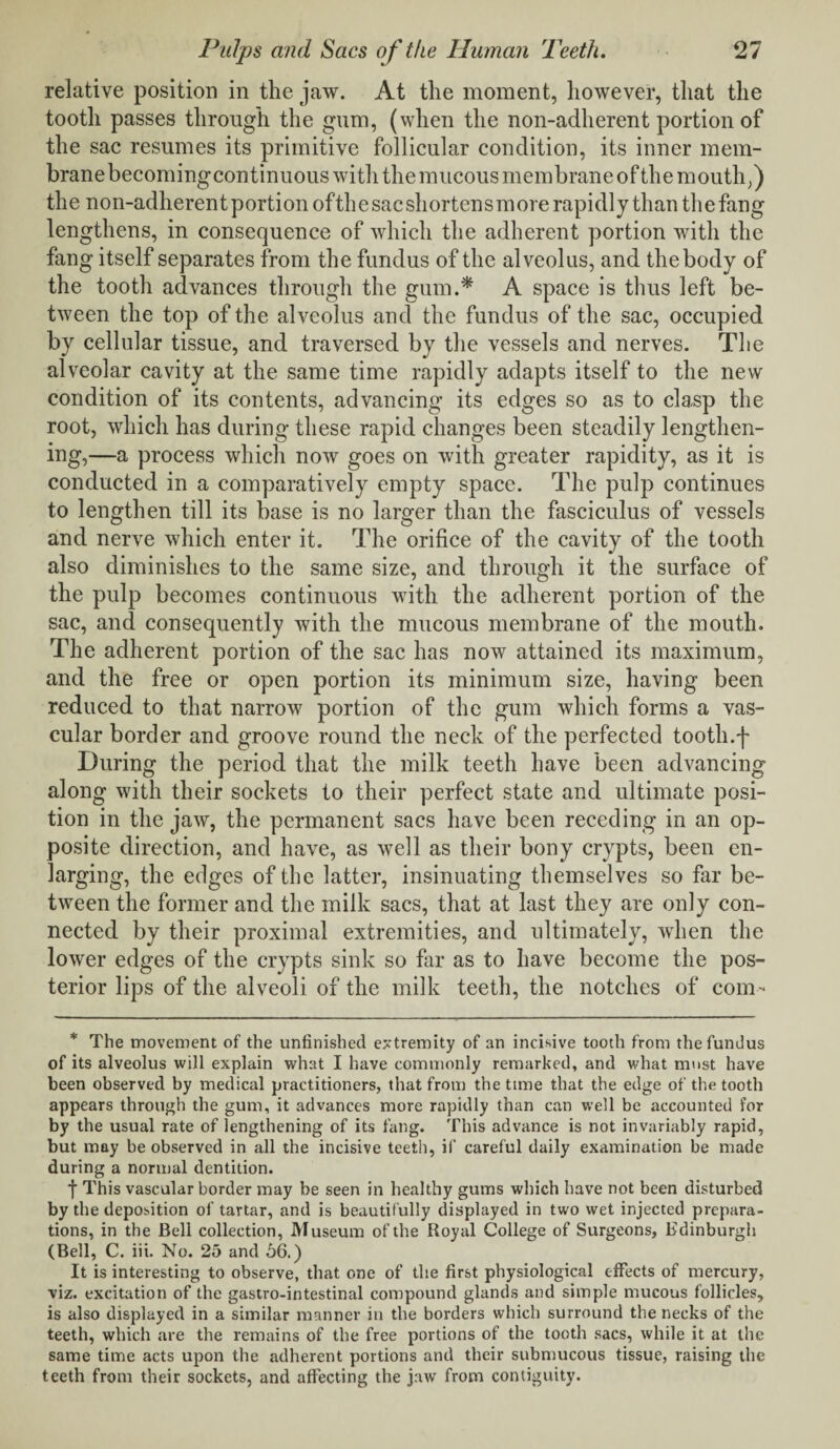 relative position in the jaw. At the moment, however, that the tooth passes through the gum, (when the non-adherent portion of the sac resumes its primitive follicular condition, its inner mem- branebecoming continuous with the mucous membrane of the mouth,) the non-adherentportion ofthesacshortensmore rapidly than thefang lengthens, in consequence of which the adherent portion with the fang itself separates from the fundus of the alveolus, and the body of the tooth advances through the gum.* A space is thus left be¬ tween the top of the alveolus and the fundus of the sac, occupied by cellular tissue, and traversed by the vessels and nerves. The alveolar cavity at the same time rapidly adapts itself to the new condition of its contents, advancing its edges so as to clasp the root, which has during these rapid changes been steadily lengthen¬ ing,—a process which now goes on with greater rapidity, as it is conducted in a comparatively empty space. The pulp continues to lengthen till its base is no larger than the fasciculus of vessels and nerve which enter it. The orifice of the cavity of the tooth also diminishes to the same size, and through it the surface of the pulp becomes continuous with the adherent portion of the sac, and consequently with the mucous membrane of the mouth. The adherent portion of the sac has now attained its maximum, and the free or open portion its minimum size, having been reduced to that narrow portion of the gum which forms a vas¬ cular border and groove round the neck of the perfected tootli.f During the period that the milk teeth have been advancing along with their sockets to their perfect state and ultimate posi¬ tion in the jaw, the permanent sacs have been receding in an op¬ posite direction, and have, as well as their bony crypts, been en¬ larging, the edges of the latter, insinuating themselves so far be¬ tween the former and the milk sacs, that at last they are only con¬ nected by their proximal extremities, and ultimately, when the lower edges of the crypts sink so far as to have become the pos¬ terior lips of the alveoli of the milk teeth, the notches of com- * The movement of the unfinished extremity of an incisive tooth from the fundus of its alveolus will explain what I have commonly remarked, and what must have been observed by medical practitioners, that from the time that the edge of the tooth appears through the gum, it advances more rapidly than can well be accounted for by the usual rate of lengthening of its fang. This advance is not invariably rapid, but may be observed in all the incisive teeth, if careful daily examination be made during a normal dentition. f This vascular border may be seen in healthy gums which have not been disturbed by the deposition of tartar, and is beautifully displayed in two wet injected prepara¬ tions, in the Bell collection, Museum of the Royal College of Surgeons, Edinburgh (Bell, C. iii. No. 25 and 56.) It is interesting to observe, that one of the first physiological effects of mercury, viz. excitation of the gastro-intestinal compound glands and simple mucous follicles, is also displayed in a similar manner in the borders which surround the necks of the teeth, which are the remains of the free portions of the tooth sacs, while it at the same time acts upon the adherent portions and their submucous tissue, raising the teeth from their sockets, and affecting the jaw from contiguity.