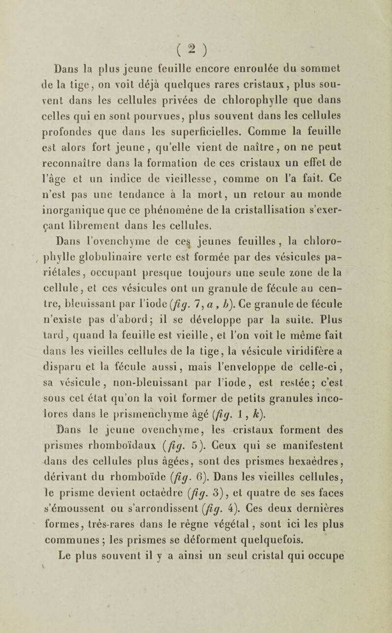 Dans la plus jeune feuille encore enroul6e du sommet de la lige, on voit deja quelques rares cristaux, plus sou- vent dans les cellules privees de chlorophylle que dans celles qui en sont pourvues, plus souvent dans les cellules profondes que dans les superficielles. Corarae la feuille est alors fort jeune, qu’elle vient de naitre, on ne peut reconnaitre dans la formation de ces cristaux un effet de Page et un indice de vieillesse, comrae on l’a fait. Ce n’est pas une tendance a la mort, un relour au monde inorganique que ce phenomene de la cristallisation s’exer- ganl librement dans les cellules. Dans l’ovenchyme de ces jeunes feuilles , la chloro- phylle globulinaire verte est form£e par des vesicules pa- rielales, occupant presque toujours une seule zone de la cellule, et ces vesicules ont un granule de fecule au cen¬ tre, bleuissant par l’iode (fly. 7, a , />). Ce granule de fecule n’existe pas d’abord; il se d^veloppe par la suite. Plus tard, quand la feuille est vieille, et l’on voit le meme fait dans les vieilles cellules de la tige, la vesicule viridifere a disparu et la fecule aussi, mais l’enveloppe de celle-ci, sa vesicule, non-bleuissant par l’iode, est restee; c’est sous cet elat qu’on la voit former de pelits granules inco- iores dans le prismencliyme ag^ (fig. 1 , k). Dans le jeune ovenchyme, les cristaux forment des prismes rhombo'idaux (fig. 5). Ceux qui se manifestent dans des cellules plus ag£es, sont des prismes bexaedres, derivant du rhomboide (fig. 6). Dans les vieilles cellules, le prisme devient octaedre (fig. 3), et quatre de ses faces s’^moussent ou s’arrondissent (fig. 4). Ces deux dernieres formes, tres-rares dans le regne vegetal, sont ici les plus communes j les prismes se deforment quelquefois. Le plus souvent il y a ainsi un seul cristal qui occupe