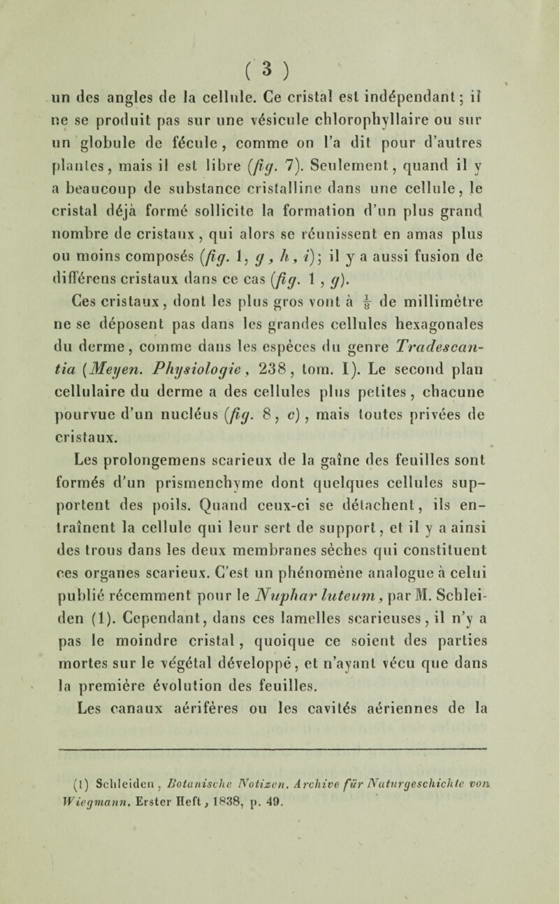 un des angles de la cellule. Ce cristal esl inddpendant; ii ne se produit pas sur line \6sicule chlorophyllaire ou sur un globule de f^cule , comme on l’a dit pour d’autres planles, mais il esl libre {fig. 7). Seulernent, quand il y a beaiicoup de substance cristalline dans une cellule, le cristal d6ja forme sollicite la formation d’un plus grand nombre de cristaux , qui alors se r6unissent en amas plus oil moins composes [fig. 1, g, h, «); il y a aussi fusion de diflerens cristaux dans ce cas (fig. 1 , g). Ces cristaux, dont les plus gros vont a ^ de millimetre ne se deposent pas dans les grandes cellules hexagonales du derme, comme dans les especes du genre Tradescan- tia (Meyen. Physiologic, 238, tom. I). Le second plan cellulaire du derme a des cellules plus petites, chacune pourvue d’un nucleus (fig. 8, c) , mais toutes privees de cristaux. Les prolongemens scarieux de la gaine des feuilles sont formas d’un prismencbyme dont quelques cellules sup- portent des poils. Quand ceux-ci se detachent, ils en- trainent la cellule qui leur sert de support, et il y a ainsi des trous dans les deux membranes seches qui constituent ces organes scarieux. C’est un phenomene analogue a celui publie recemment pour le Nuphar lutemn , par M. Scblei- den (1). Cependant, dans ces lamelles scarieuses, il n’y a pas le moindre cristal, quoique ce soient des parties mortes sur le vegetal d^veloppe, et n’ayant vecu que dans la premiere evolution des feuilles. Les canaux aeriferes ou les cavit^s aeriennes de la (!) Schleiden , L’otanischc Notizcn. Archive fi'tr Nuturgcschichtc von Wiegmann. Er.ster Ileft, 1838, p. 49.