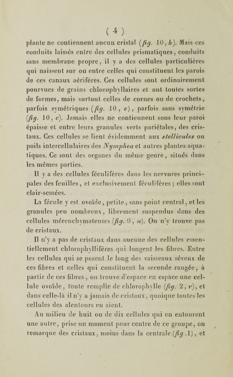 plante ne contiennenl aucun cristal (fig. 10, h). Mais ces conduits laisses enlre des cellules prismatiques, conduits sans membrane propre, il y a des cellules particuli^res qui naissent sur ou entre celles qui constituent les parois de ces canaux aeriferes. Ces cellules sont ordinairement pourvues de grains chlorophyllaires el out toutes sortes de formes, mais surtout celles de cornes ou de crochels, parfois sym6triques (fig. 10 , e) , parfois sans symelrie (fig. 10, c). Jamais elles ne contiennenl sous leur paroi epaisse et entre leurs granules verts pari&tales, des cris- taux. Ces cellules se lient evidemment aux stellicules ou poils intercellnlaires des Nymphea al aulres planles aqua- tiques. Ce sont des organes du meme genre, situes dans les memes parties. II y a des cellules fticu life res dans les nervures princi- pales des feuilles, el exclusivemenl feculiferes ; elles sont clair-semees. La fecule y est ovo'ide, petite, sans point central, etles granules pen nombreux, libreinen! suspendus clans des cellules m6rencbymateuses (fig. 9, a). On n’y trouve pas de cristaux. i II n’y a pas de cristaux dans aucune des cellules cssen- liellement cbloropbylliferes qui longenl les fibres. Entre les cellules qui se posent le long des vaisseaux seveux de ces fibres et celles qui constituent la seconde rang£e, a partir de ces fibres, on trouve d’espace en espace une cel¬ lule ovo'ide, toute remplie de chloropbylle (fig. 2, ?•), et dans celle-la il n’y a jamais de cristaux, quoique toutes les cellules des alenlours en aient. Au milieu de huit ou de dix cellules qui en entourent une autre, prise un moment pour centre de ce groupc, on temarque des cristaux, moins dans la cenlrale (fig .1), et