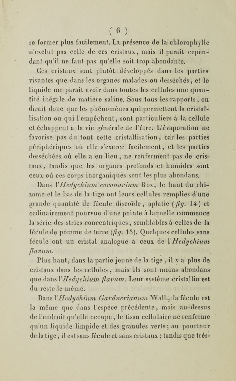 se former plus facilement. La presence de la chlorophylle n’exclut pas celle de ces cristaux, mais il parait cepen- dant qu’il ne faut pas qu’elle soil Irop abondante. Ces crislaux sont plutot developpes dans les parlies Yivanles que dans les organes malades on dessechds, el le liquide me parait avoir dans toutes les cellules une quan¬ tity inegale de maliere saline. Sous tous les rapports, on dirail done que les phenomenes qui permeltent la crislal- lisation ou qui l’empechent, sont parliculiers a la cellule et dchappenl a la vie gen^rale de lelre. L’evaporation ne favorise pas du tout celle crislallisalkm , car les parties periphcriques oil el 1 e s’exerce facilement, et les parties dessechees oil elle a eu lieu, ne rcnferment pas de cris- taux, tandis que les orgaues profonds et humides sont ceux oil ces corps inorganiques sont les plus abondans. Dans YHedychium coronarium Rox, le haut du rhi¬ zome et le bas de la tige out leurs cellules remplies d’une grande quantile de fecule discoide, aplalie {fig- 14) et ordinairement pourvuc d une pointe a laquelle commence la serie des stries concentriques, semblables a celles de la fecule de pomme de lerre (fig. 13). Quelques cellules sans fecule ont un crislal analogue a ceux de XHedychium flavurn. Plus haut, dans la partie jeune de la tige , il y a plus de cristaux dans les cellules , mais ils sont moins abondans que dans YHedychium ftavum. Leur sysleme cristallin est du reste le mcme. Dans YHedychium Gardnerianum Wall., la fecule est la meme que dans l’espeee prec£dcnlc, mais au-dessus de l’endroit qu’elle occupe, le tissu cellulaire ne renferme qu’un liquide limpide el des granules verts; au pourlour de la tige, il est sans fecule et sans cristaux ; tandis que tres-