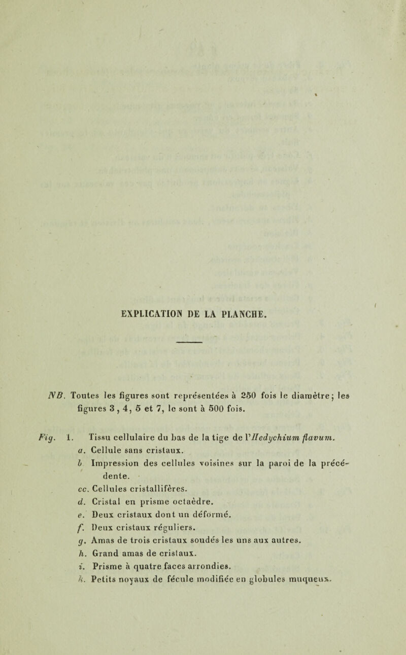 EXPLICATION l)E LA PLANCHE. IV B. Toutes les figures sont repre'sentees a 250 fois le diametre; lea figures 3,4, 5 et 7, le sont a 500 fois. Fig. 1. Tis.su cellulaire du has de la tige de VIIedychium flavum. a. Cellule sans cristaux. l> Impression des cellules voisines sur la paroi de la piece- dente. cc. Cellules cristalliferes. d. Cristal en prisme octaedre. e. Deux cristaux dont un deforme. f. Deux cristaux reguliers. g. Amas de trois cristaux soudes les uns aux autres. h. Grand amas de cristaux. i. Prisme a quatre faces arrondies. h. Petits noyaux de fecule modifiee en globules muqoeu*.