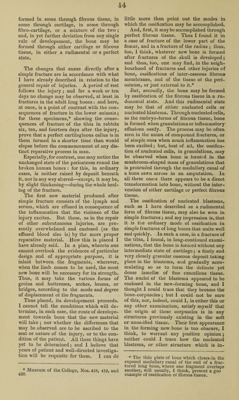 formed in some through fibrous tissue, in some through cartilage, in some through fibro-cartilage, or a mixture of the two ; and, in yet further deviation from any single rule of developement, the bone may be formed through either cartilage or fibrous tissue, in either a rudimental or a perfect state. The changes that ensue directly after a simple fracture are in accordance with what I have already described in relation to the general repair of injuries. A period of rest follows the injury ; and for a week or ten days no change may be observed, at least in fractures in the adult long bones: and here, at once, is a point of contrast with the con¬ sequences of fracture in the lower animals; for these specimens,* showing the conse¬ quences of fracture of the tibia in rabbits six, ten, and fourteen days after the injury, prove that a perfect cartilaginous callus is in them formed in a shorter time than would elapse before the commencement of any dis¬ tinct reparative process in man. Especially, for contrast, one may notice the unchanged state of the periosteum round the broken human bones : for this, in ordinary cases, is neither raised by deposit beneath it, nor in any way altered—except, it may be, by slight thickening—during the whole heal¬ ing of the fracture. The first new material produced after simple fracture consists of the lymph and serum, which are effused in consequence of the inflammation that the violence of the injury excites. But these, as in the repair of other subcutaneous injuries, are pre¬ sently overwhelmed and enclosed (as the effused blood also is) by the more proper reparative material. How this is placed I have already said. In a plan, wherein one cannot overlook the evidences of particular design and of appropriate purpose, it is inlaid between the fragments, wherever, when the limb comes to be used, the most new bone will be necessary for its strength. Thus, it may take the various forms of groins and buttresses, arches, beams, or bridges, according to the mode and degree of displacement of the fragments. Thus placed, its developement proceeds. I cannot tell the conditions which will de¬ termine, in each case, the route of develope¬ ment towards bone that the new material will take ; nor whether the differences that may be observed are to be ascribed to the seat or nature of the injury, or to the con¬ dition of the patient. All these things have yet to be determined; and 1 believe that years of patient and well-directed investiga¬ tion will be requisite for them. I can do * Museum of the College, Nos. 418, 419, and '0. little more than point out the modes in which the ossification may be accomplished. And, first, it may be accomplished through perfect fibrous tissue. Thus I found it in a case of fracture of the lower part of the femur, and in a fracture of the radius ; thus, too, I think, whatever new bone is formed after fractures of the skull is developed j and thus, too, one may find, in the neigh¬ bourhood of fractures and other injuries of bone, ossifications of inter-osseous fibrous membranes, and of the tissue of the peri¬ osteum, or just external to it.* But, secondly, the bone may be formed by ossification of the fibrous tissue in a ru- dnnental state. And this rudimental state may be that of either nucleated cells or nucleated blastema. Through nucleated cells, as the embryo-forms of fibrous tissue, bone is formed when granulations or inflammatory effusions ossify. The process may be often seen in the union of compound fractures, or of simple ones when much inflammation has been excited; but, best of ail, the ossifica¬ tion of nucleated cells, in granulations, may be observed when bone is forrried in the mushroom-shaped mass of granulations that is protruded through the medullary canal of a bone sawn across in an amputation. In all these cases there appears to be a direct transformation into bone, without the inter¬ vention of either cartilage or perfect fibrous tissue. The ossification of nucleated blastema, such as 1 have described as a rudimental form of fibrous tissue, may also be seen in simple fractures ; and my impression is, that it is the ordinary mode of ossification in simple fractures of long bones that unite well and quickly. In such a case, in a fracture of the tibia, 1 found, in long-continued exami¬ nations, that the bone is formed without any intermediate state of cartilage ; a finely and very closely granular osseous deposit taking place in the blastema, and gradually accu¬ mulating so as to form the delicate yet dense lamellae of fine cancellous tissue. The nuclei of the blastema appeared to be enclosed in the new-forming bone, and I thought I could trace that they became the bone-corpuscles ; but I could not be sure of this, nor, indeed, could I, in either this or any other examination, satisfy myself that the origin ot these corpuscles is in any structures previously existing in the soft or unos.>ified tissue. Their first appearance in the forming new bone is too obscure, I think, to warrant any positive opinion; neither could I trace how the nucleated blastema, or other structure which is in- * The thin plate of bone which closes-in the exposed medullary canal of the end of a frac¬ tured long bone, where one fragment overlaps another, will usually, I think, present a goo example of ossification of fibrous tissue.