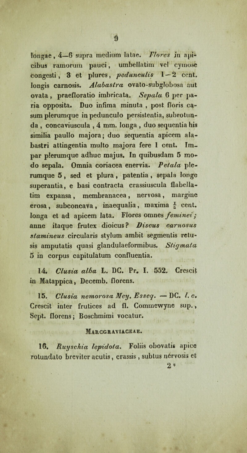 longae, 4—6 supra medium latae. Flores in api¬ cibus ramorum pauci, umbellatim vel cymose congesti, 3 et plures, pedunculis 1 — 2 cent. longis carnosis. Alabastra ovato-subglobosa aut ovata , praefloratio imbricata. Sepala 6 per pa¬ ria opposita. Duo infima minuta , post floris ca¬ sum plerumque in pedunculo persistentia, subrotun¬ da , concaviuscula , 4 mm. longa , duo sequentia his similia paullo majora; duo sequentia apicem ala¬ bastri attingentia multo majora fere 1 cent. Im¬ par plerumque adhuc majus. In quibusdam 5 mo¬ do sepala. Omnia coriacea enervia. Petala ple¬ rumque 5, sed et plura, patentia, sepala longe superantia, e basi contracta crassiuscula flabella- tim expansa, membranacea, nervosa, margine erosa, subconcava, inaequalia, maxima \ cent. longa et ad apicem lata. Flores omnes feminei; anne itaque frutex dioicus? Discus carnosus stamineus circularis stylum ambit segmentis retu¬ sis amputatis quasi glandulaeformibus. Stigmata 5 in corpus capitulatum confluentia. 14. Clusia alba L. DG. Pr# I. 552. Crescit in Matappica, Decemb. florens. 15. Clusia nemorosa Mey. Esseq. — DG. /. c. Crescit inter frutices ad fl. Commewyne sup., Sept. florens; Boschmimi vocatur. Marcgraviaceae. 16. Ruyschia lepidota. Foliis obovatis apice rotundato breviter aculis, crassis, subtus nervosis et 2 *