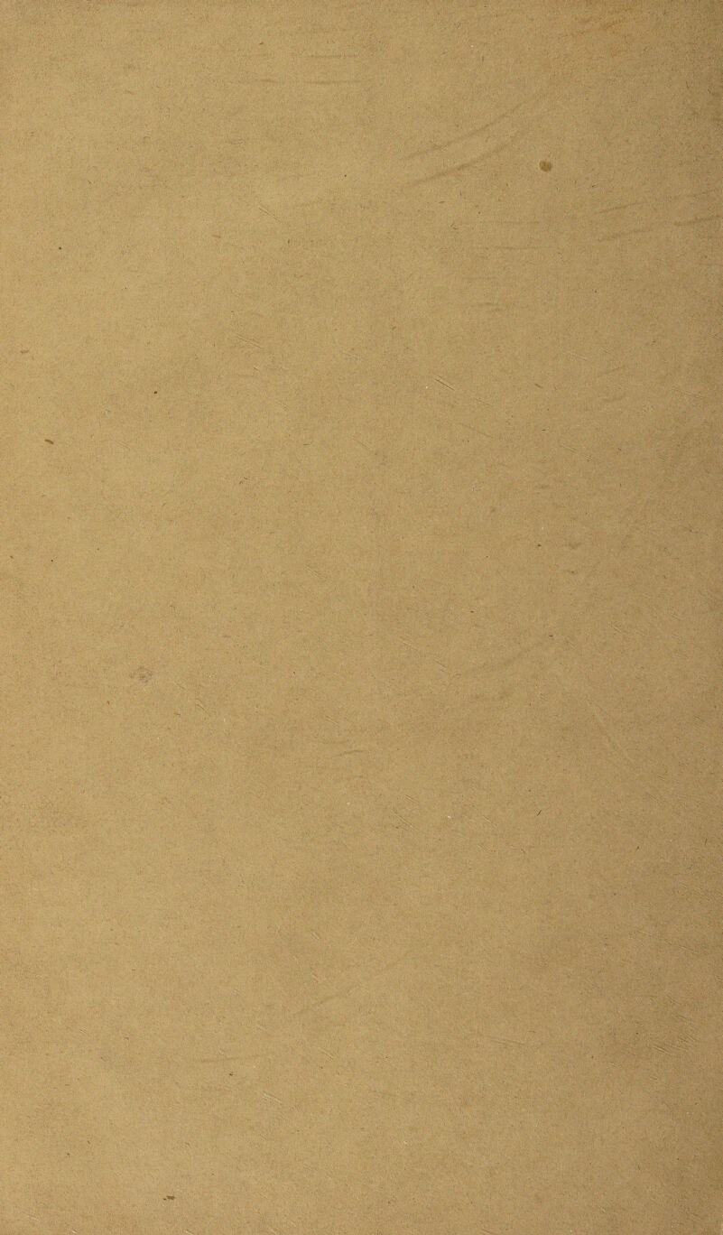 ■ V -Kj. ■ ,V- N, •• O?. •• 1 • • ' •• • -; -v / , . J . ,