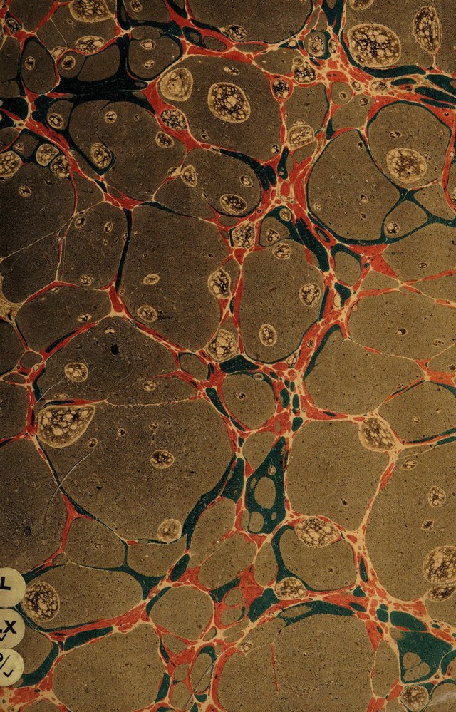digitised image 1