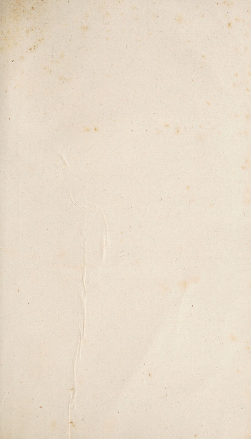 ] O / • I s S./ ' <y. ( * ( \ / I i ' i \ I r