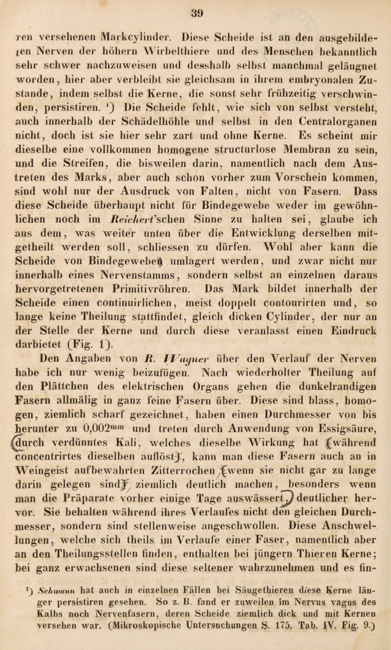 reu versehenen Markcylinder. Diese Scheide ist an den ausgebilde¬ ten Nerven der hohem Wirbelthiere und des Menschen bekanntlich sehr schwer nachzuweisen und desshalh seihst manchmal geläugnet worden, hier aber verbleibt sie gleichsam in ihrem embryonalen Zu¬ stande, indem seihst die Kerne, die sonst sehr frühzeitig verschwin¬ den, persistiren. Die Scheide fehlt, wie sich von selbst versteht, auch innerhalb der Schädelhöhle und seihst in den Centralorganen nicht, doch ist sie hier sehr zart und ohne Kerne. Es scheint mir dieselbe eine vollkommen homogene structurlose Membran zu sein, und die Streifen, die bisweilen darin, namentlich nach dem Aus¬ treten des Marks, aber auch schon vorher zum Vorschein kommen, sind wohl nur der Ausdruck von Falten, nicht von Fasern. Dass diese Scheide überhaupt nicht für Bindegewebe weder im gewöhn¬ lichen noch im Reichert’sehen Sinne zu halten sei, glaube ich aus dem, was weiter unten über die Entwicklung derselben mit- getheilt werden soll, schliessen zu dürfen. Wohl aber kann die Scheide von Bindegewebe^ umlagert werden, und zwar nicht nur innerhalb eines Nervenstamms, sondern selbst an einzelnen daraus hervorgetretenen Primitivröhren. Das Mark bildet innerhalb der Scheide einen continuirlichen, meist doppelt contourirten und, so lange keine Theilung stattfindet, gleich dicken Cylinder, der nur an der Stelle der Kerne und durch diese veranlasst einen Eindruck darbietet (Fig. 1). ' Den Angaben von R. JVagner über den Verlauf der Nerven habe ich nur wenig beizufügen. Nach wiederholter Theilung auf den Plättchen des elektrischen Organs gehen die dunkelrandigen Fasern allmälig in ganz feine Fasern über. Diese sind blass, homo¬ gen, ziemlich scharf gezeichnet, haben einen Durchmesser von bis herunter zu 0,002mm und treten durch Anwendung von Essigsäure, jlurch verdünntes Kali, welches dieselbe Wirkung hat während concentrirtes dieselben aufiöstj, kann man diese Fasern auch an in Weingeist auf bewahrten Zitterrochen ijNvenn sie nicht gar zu lange darin gelegen sindj ziemlich deutlich machen, besonders wenn man die Präparate vorher einige Tage auswässer^ deutlicher her¬ vor. Sie behalten während ihres Verlaufes nicht den gleichen Durch¬ messer, sondern sind stellenweise angeschwollen. Diese Anschwel¬ lungen, welche sich theils im Verlaufe einer Faser, namentlich aber an den Theiiungsstellen finden, enthalten hei jüngern Thieren Kerne; hei ganz erwachsenen sind diese seltener wahrzunehmen und es fin- 1) Schwann hat auch in einzelnen Fällen hei Säugethieren d/ese Kerne län¬ ger persistiren gesehen. So z. B. fand er zuweilen im Nervus vagus des Kalbs noch Nervenfasern, deren Scheide ziemlich dick und mit Kernen versehen war. (Mikroskopische Untersuchungen S- 175. Tab. IV. Fig. 9.)