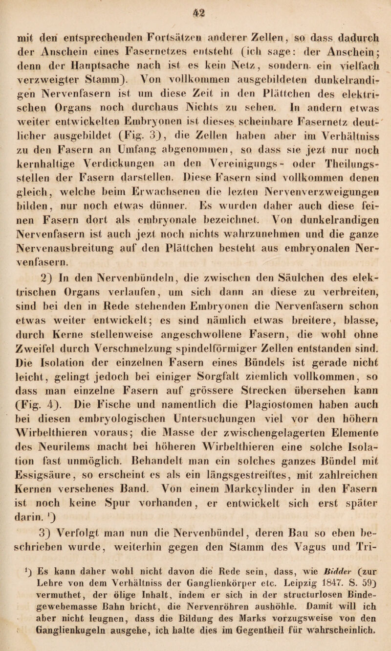 m mit den entsprechenden Fortsätzen anderer Zellen, so dass dadurch der Anschein eines Fasernetzes entsteht (ich sage: der Anschein; denn der Hauptsache nach ist es kein Netz.,, sondern, ein vielfach verzweigter Stamm). Von vollkommen ausgcbildeten dunkelrandi- gen Nervenfasern ist um diese Zeit in den Plättchen des elektri¬ schen Organs noch durchaus Nichts zu sehen. In andern etwas weiter entwickelten Embryonen ist dieses scheinbare Fasernetz deut¬ licher ausgebildet (Fig. 3), die Zellen haben aber im Verhältnis zu den Fasern an Umfang abgenommen, so dass sie jezt nur noch kernhaltige Verdickungen an den Vereinigung^- oder Theilungs- stellen der Fasern darstellen. Diese Fasern sind vollkommen denen gleich, welche beim Erwachsenen die iezten Nervenverzweigungen bilden, nur noch etwas dünner. Es wurden daher auch diese fei¬ nen Fasern dort als embryonale bezeichnet. Von dunkelrandigen Nervenfasern ist auch jezt noch nichts wahrzunehmen und die ganze Nervenausbreitung auf den Plättchen besteht aus embryonalen Ner¬ venfasern. 2) In den Nervenbündeln, die zwischen den Säulchen des elek¬ trischen Organs verlaufen, um sich dann an diese zu verbreiten, sind bei den in Rede stehenden Embryonen die Nervenfasern schon etwas weiter entwickelt; es sind nämlich etwas breitere, blasse, durch Kerne stellenweise angeschwollene Fasern, die wohl ohne Zweifel durch Verschmelzung spindelförmiger Zellen entstanden sind. Die Isolation der einzelnen Fasern eines Bündels ist gerade nicht leicht, gelingt jedoch bei einiger Sorgfalt ziemlich vollkommen, so dass man einzelne Fasern auf grössere Strecken übersehen kann (Fig. 4). Die Fische und namentlich die Plagiostomen haben auch bei diesen embryologischen Untersuchungen viel vor den höhern Wirbelthieren voraus; die Masse der zwischengelagerten Elemente des Neurilems macht bei höheren Wirbelthieren eine solche Isola¬ tion fast unmöglich. Behandelt man ein solches ganzes Bündel mit Essigsäure, so erscheint es als ein längsgestreiftes, mit zahlreichen Kernen versehenes Band. Von einem Markcylinder in den Fasern ist noch keine Spur vorhanden, er entwickelt sich erst später darin. J) 3) Verfolgt man nun die Nervenbündel, deren Bau so eben be¬ schrieben wurde, weiterhin gegen den Stamm des Vagus und Tri- *) Es kann daher wohl nicht davon die Rede sein, dass, wie Bidder (zur Lehre von dem Verhältniss der Ganglienkörper etc. Leipzig 1847. S. 59} vermuthet, der ölige Inhalt, indem er sich in der structurlosen Binde¬ gewebemasse Bahn bricht, die Nervenröhren aushöhle. Damit will ich aber nicht leugnen, dass die Bildung des Marks vorzugsweise von den Ganglienkugeln ausgehe, ich halte dies im Gegentheil für wahrscheinlich.