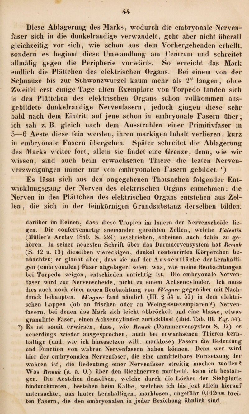 Diese Ablagerung des Marks, wodurch die embryonale Nerven¬ faser sich in die dunkelrandige verwandelt, geht aber nicht überall gleichzeitig vor sich, wie schon aus dem Vorhergehenden erhellt, sondern es beginnt diese Umwandlung am Centrum und schreitet allmälig gegen die Peripherie vorwärts. So erreicht das Mark endlich die Plättchen des elektrischen Organs. Bei einem von der Schnauze bis zur Schwanzwurzel kaum mehr als 2 langen, ohne Zweifel erst einige Tage alten Exemplare von Torpedo fanden sich in den Plättchen des elektrischen Organs schon vollkommen aus¬ gebildete dunkelrandige Nervenfasern, jedoch gingen diese sehr bald nach dem Eintritt auf jene schon in embryonale Fasern über; ich sah z. B. gleich nach dem Ausstrahlen einer Primitivfaser in 5—6 Aeste diese fein werden, ihren markigen Inhalt verlieren, kurz in embryonale Fasern übergehen. Später schreitet die Ablagerung des Marks weiter fort, allein sie findet eine Grenze, denn, wie wir wissen, sind auch beim erwachsenen Thiere die lezten Nerven- verzweigungen immer nur von embryonalen Fasern gebildet, *) Es lässt sich aus den angegebenen Thatsachen folgender Ent¬ wicklungsgang der Nerven des elektrischen Organs entnehmen: die Nerven in den Plättchen des elektrischen Organs entstehen aus Zel¬ len , die sich in der feinkörnigen Grundsubstanz derselben bilden. darüber im Reinen, dass diese Tropfen im Innern der Nervenscheide lie¬ gen. Die confervenartig aneinander gereihten Zellen, welche Valentin (Müllers Archiv 1840. S. 224) beschrieben, scheinen auch dahin zu ge¬ hören. In seiner neuesten Schrift über das Darmnervensystem hat Remak (S. 12 u. 13) dieselben viereckigen, dunkel contourirten Körperchen be¬ obachtet; er glaubt aber, dass sie auf der Aussenfläche der kernhalti¬ gen (embryonalen) Faser abgelagert seien, was, wie meine Beobachtungen bei Torpedo zeigen, entschieden unrichtig ist. Die embryonale Nerven¬ faser wird zur Nervenscheide, nicht zu einem Achsencylinder. Ich muss dies auch noch einer neuen Beobachtung von Wagner gegenüber mit Nach¬ druck behaupten. Wagner fand nämlich (III. § 54 u. 55) in dem elektri¬ schen Lappen (ob an frischen oder an Weingeistexemplaren?) Nerven¬ fasern, bei denen das Mark sich leicht abbröckelt uud eine blasse, etwas granulirte Faser, einen Achsencylinder zurücklässt (ibid. Tab. III. Fig. 54). *) Es ist somit erwiesen, dass, wie Remak (Darmnervensystem S. 32) es neuerdings wieder ausgesprochen, auch bei erwachsenen Thieren kern¬ haltige (und, wie ich hinzusetzen will: marklose) Fasern die Bedeutung und Function von wahren Nervenfasern haben können. Denn wer wird hier der embryonalen Nervenfaser, die eine unmittelbare Fortsetzung der wahren ist, die Bedeutung einer Nervenfaser streitig machen wollen? Was Remak (a. a. 0.) über den Riechnerven mittheilt, kann ich bestäti¬ gen. Die Aestchen desselben, welche durch die Löcher der Siebplatte hindurchtreten, bestehen beim Kalbe, welches ich bis jezt allein hierauf untersuchte, aus lauter kernhaltigen, marklosen, ungefähr 0,012mm brei¬ ten Fasern, die den embryonalen in jeder Beziehung ähnlich sind.
